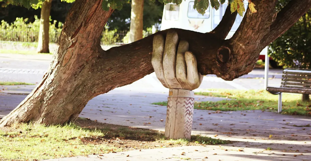 l-and-d-support-leadership-development