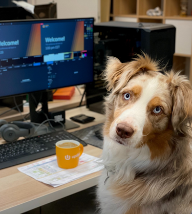 photo of dog at desk representing lms services 