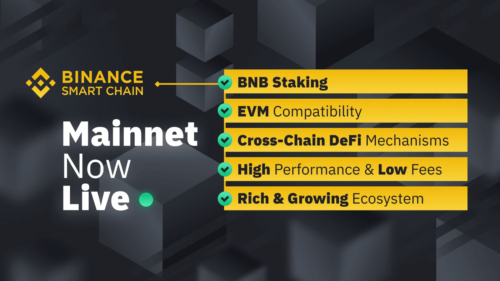 Advantages of the Binance Smart Chain