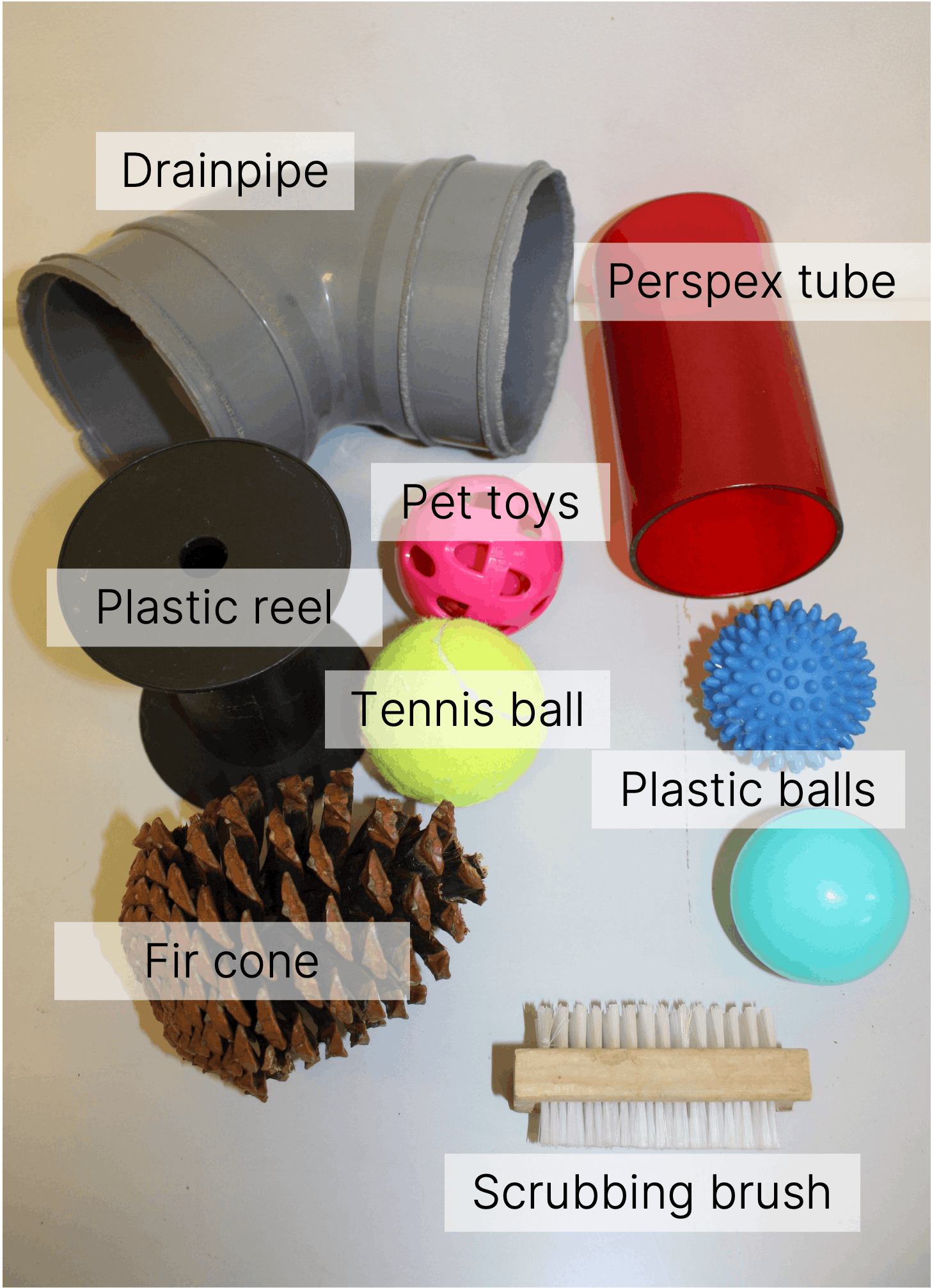 Annotated cage enrichment.