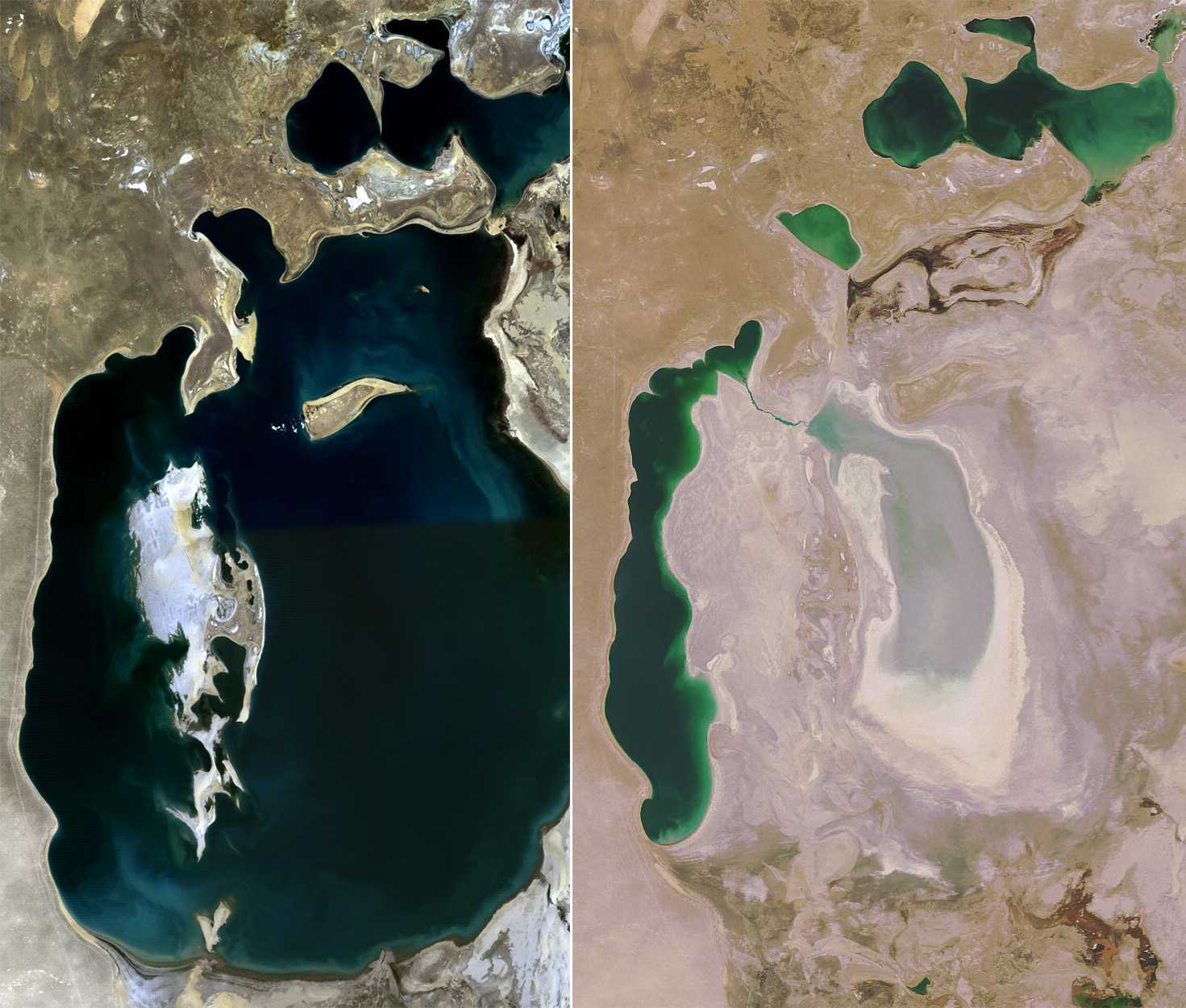 The Aral Sea in 1989 (left) and 2014 (right). Diking was used to shrink this saline lake down over time.