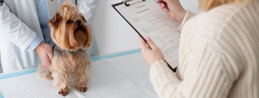 мила собачка у ветеренара