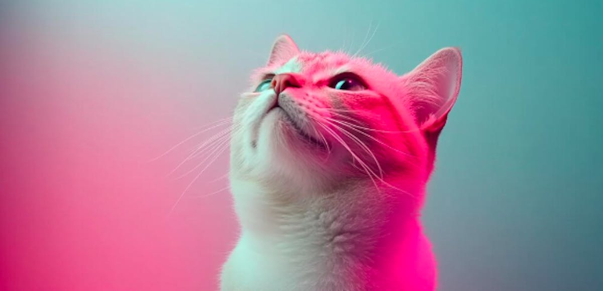 кіт на неоновому фоні рожево зеленого кольору