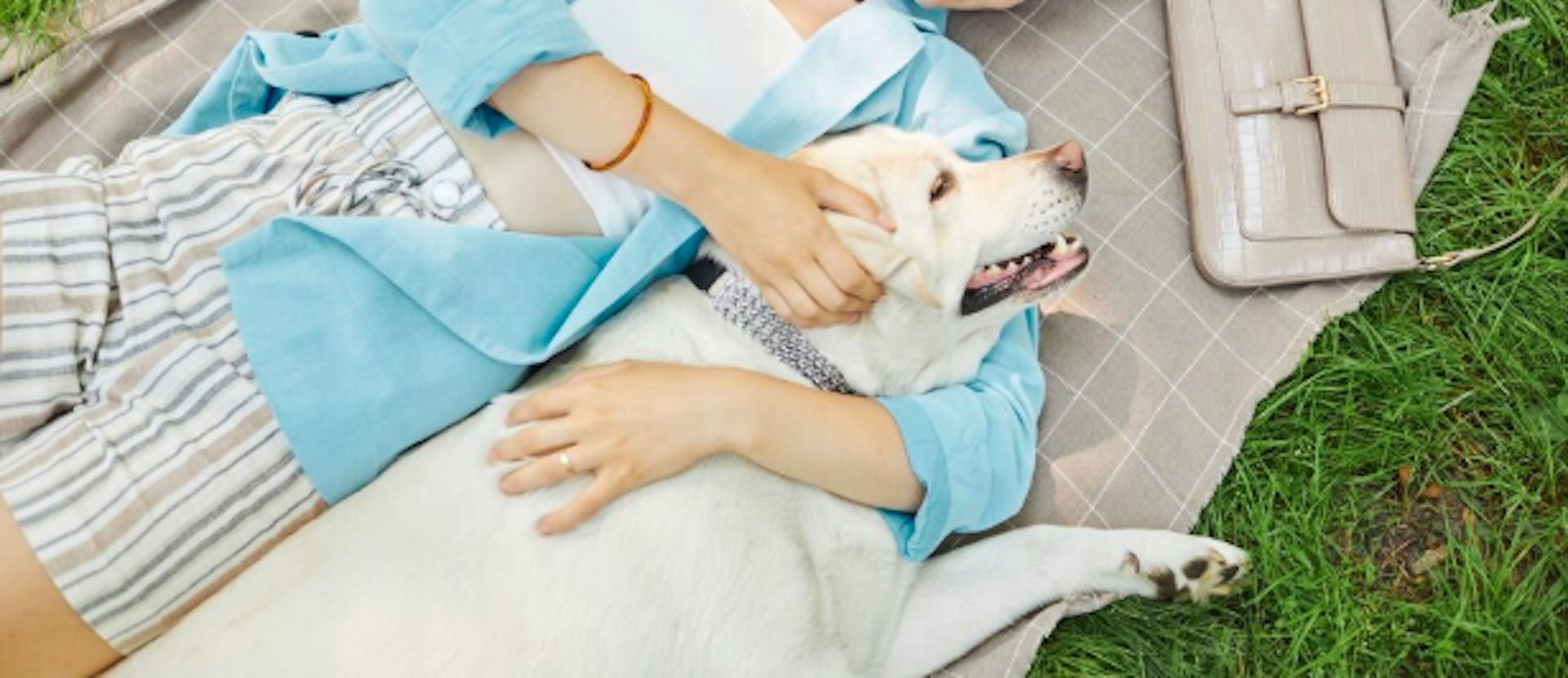 дівчина обіймає золотистого ретривера 