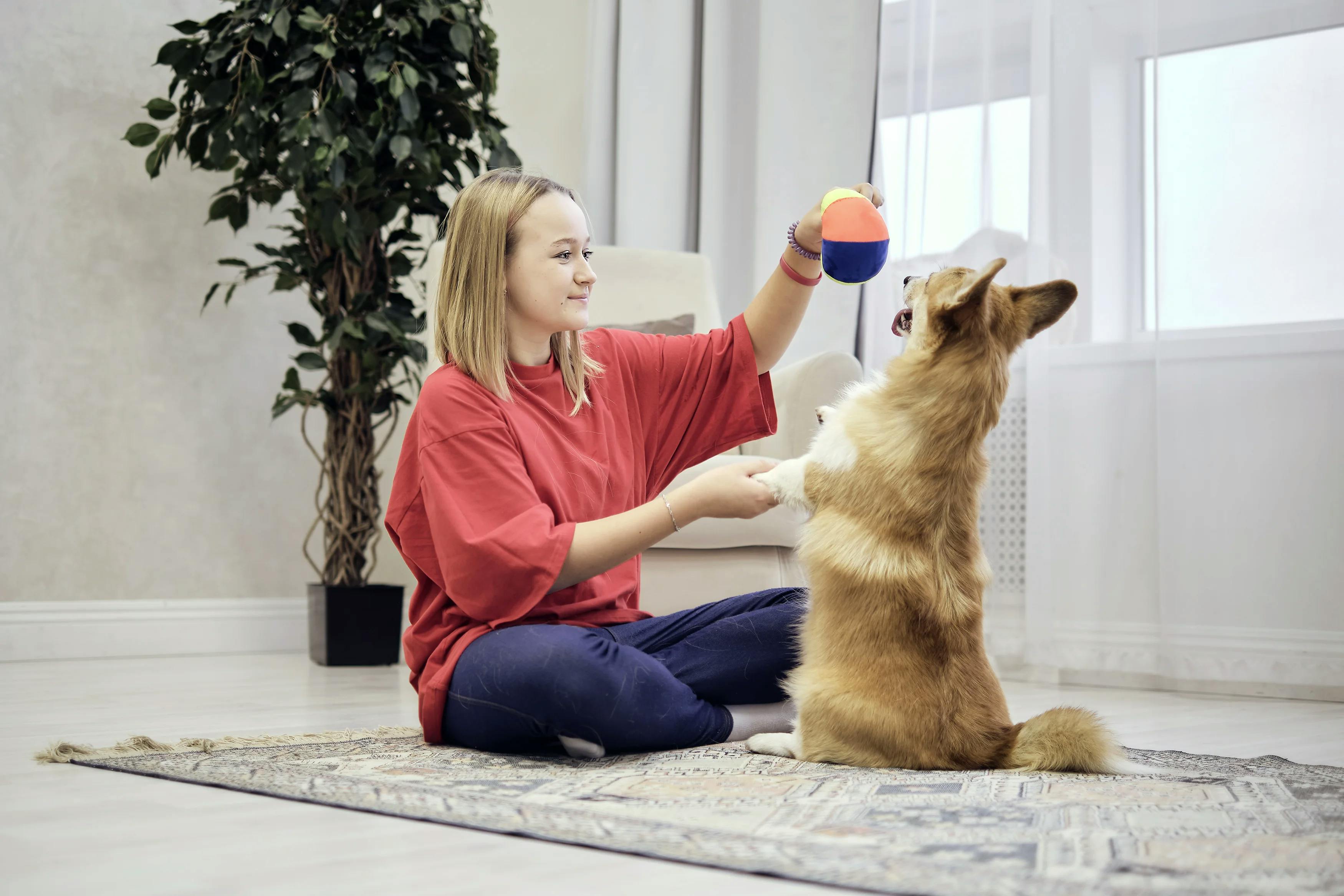 дівчина грається з собакою вдома