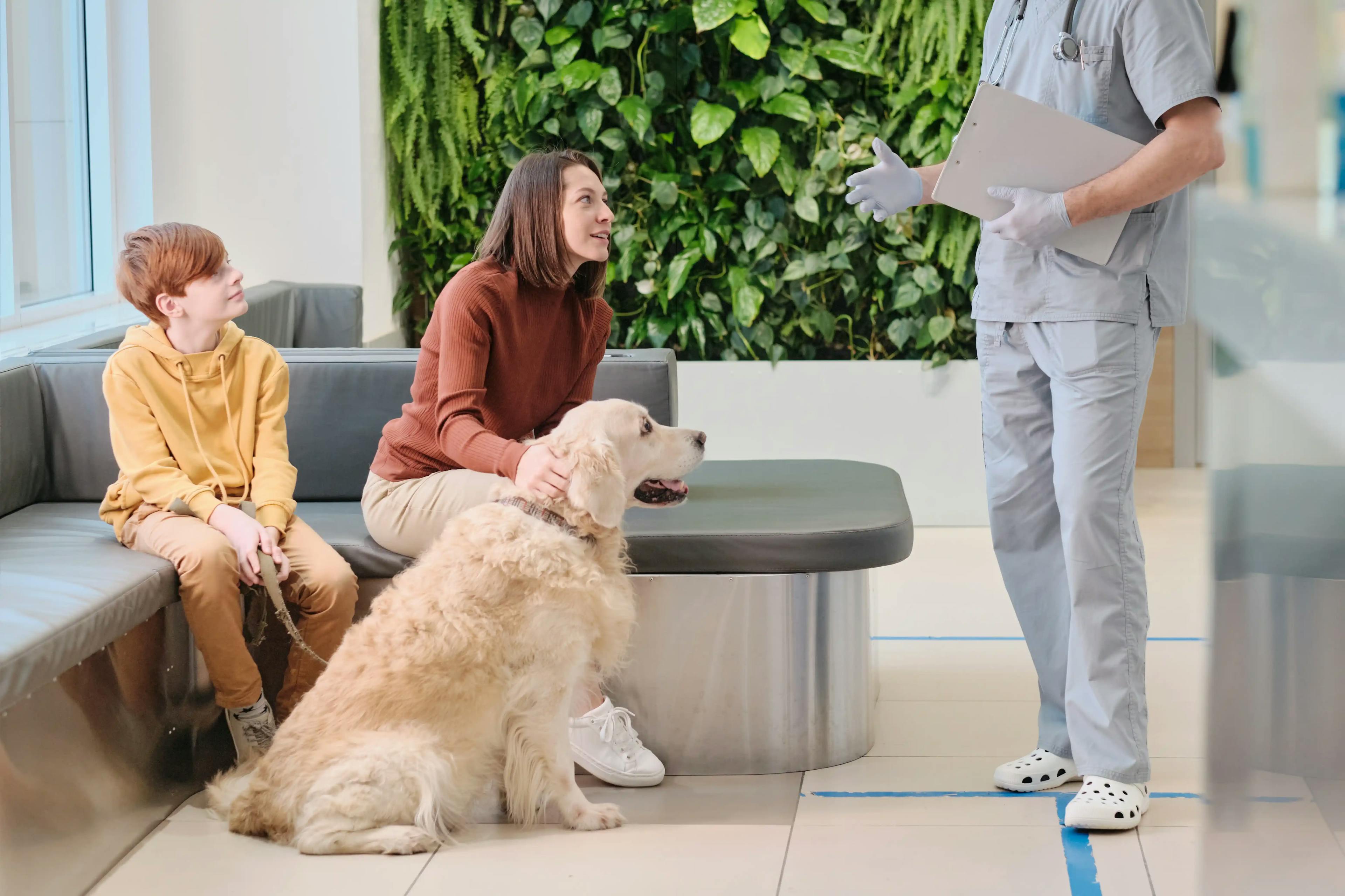 жінка із хлопчиком і собакою розмовляє з ветеринаром на рецепції ветеринарної клініки