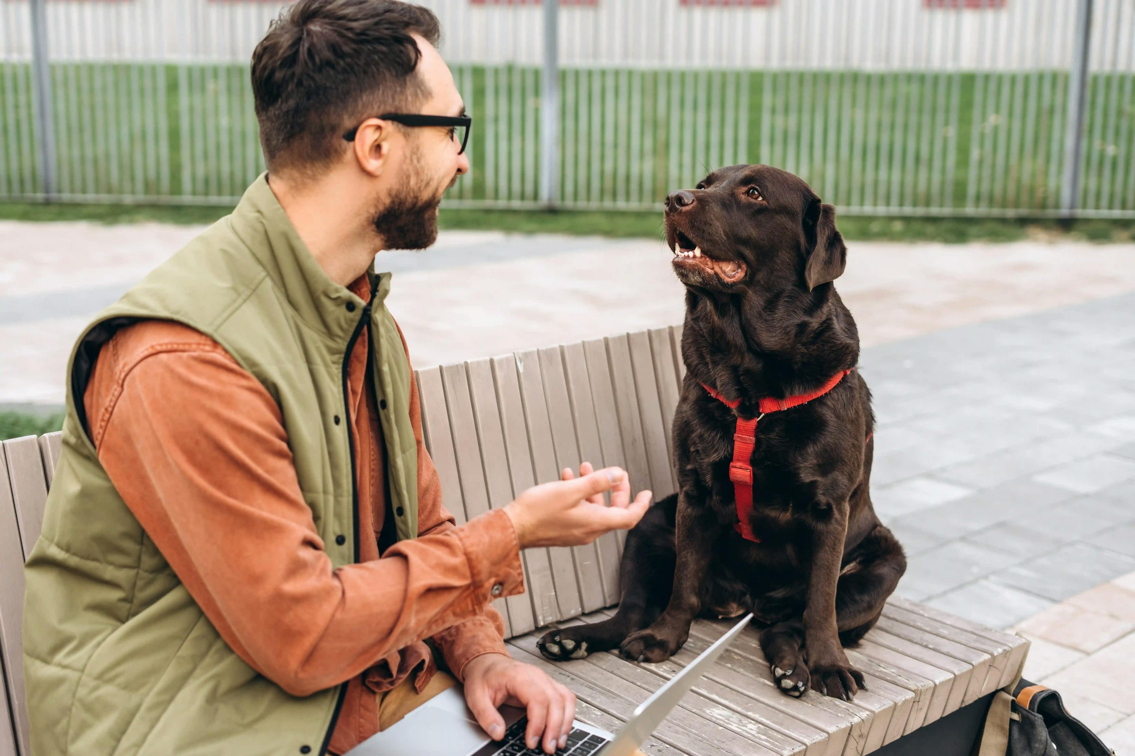чоловік звертається до своєї собаки