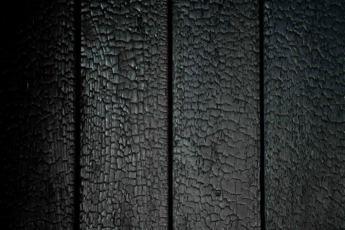 Case Image