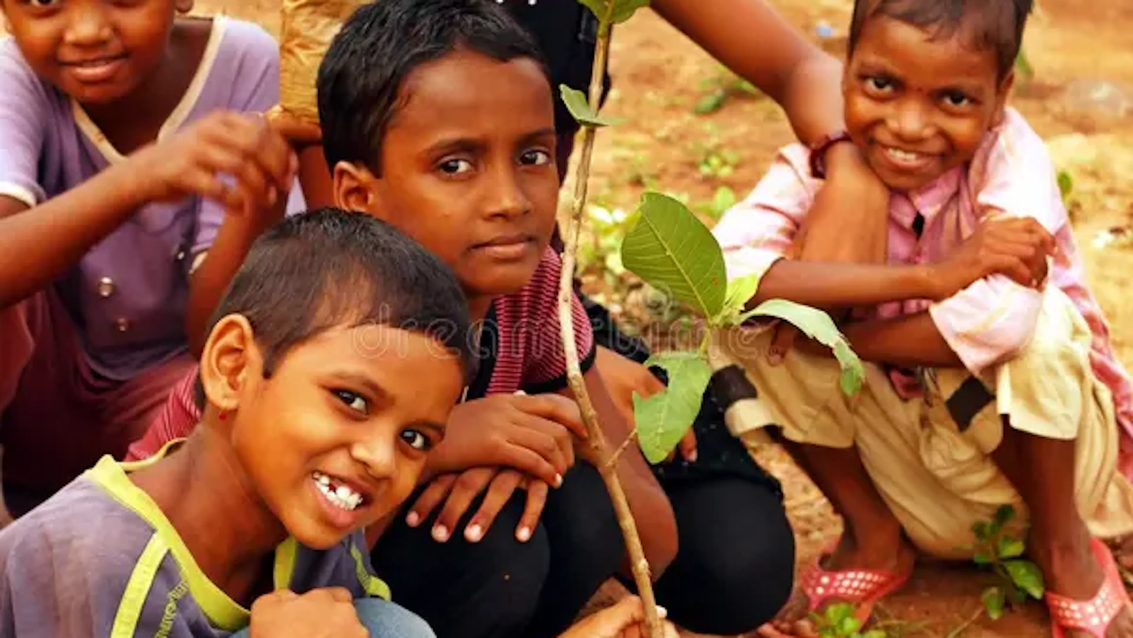Community planting activity