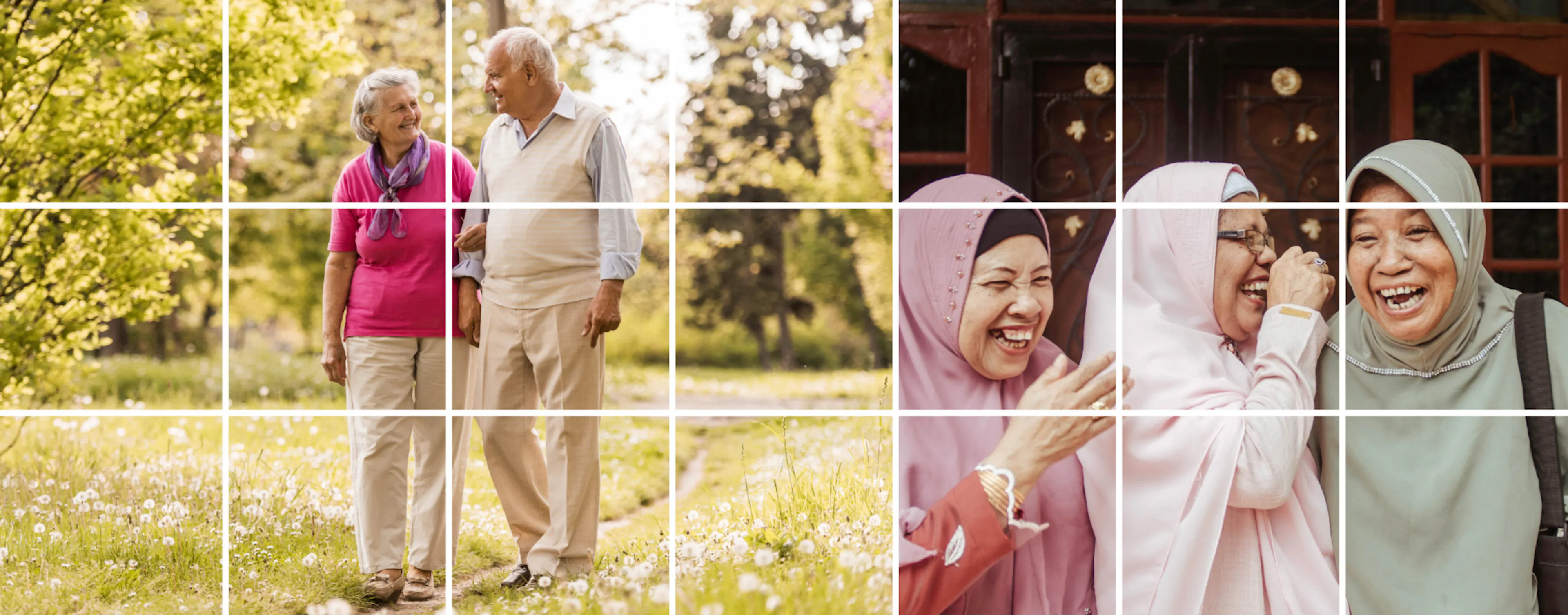AARP Planning for Aging Societies