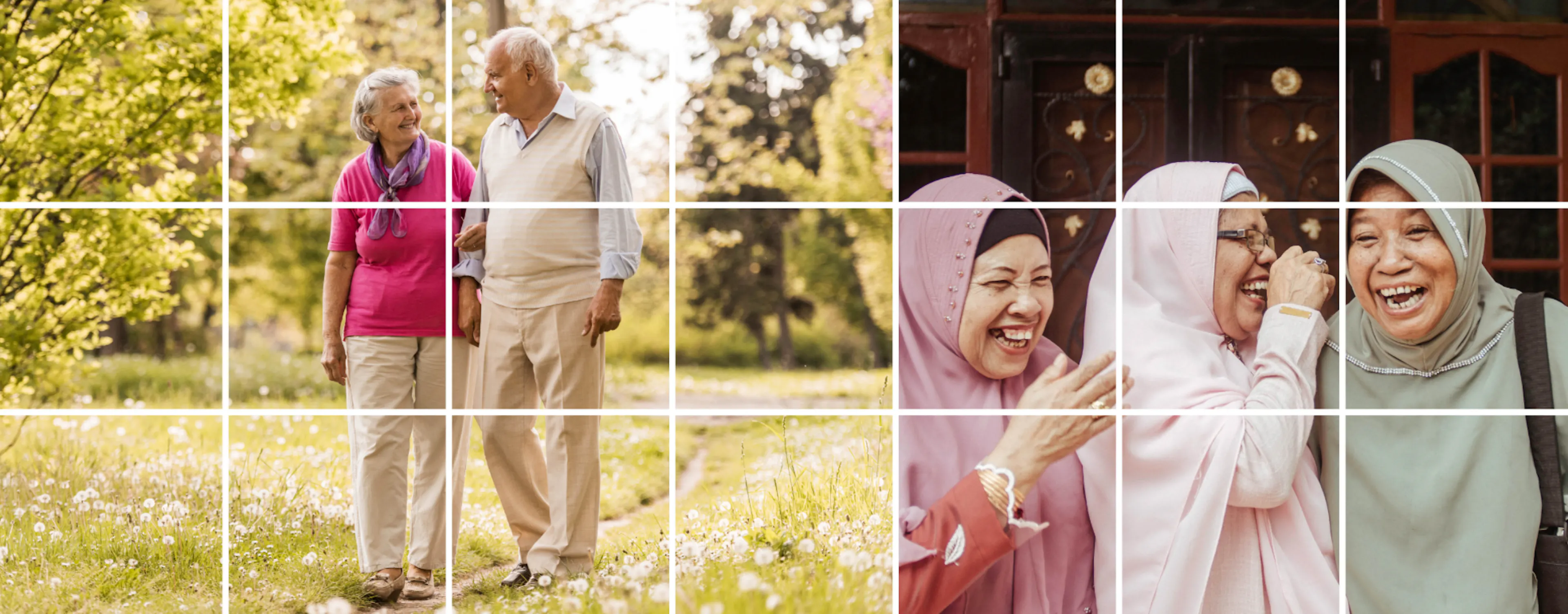 AARP Planning for Aging Societies