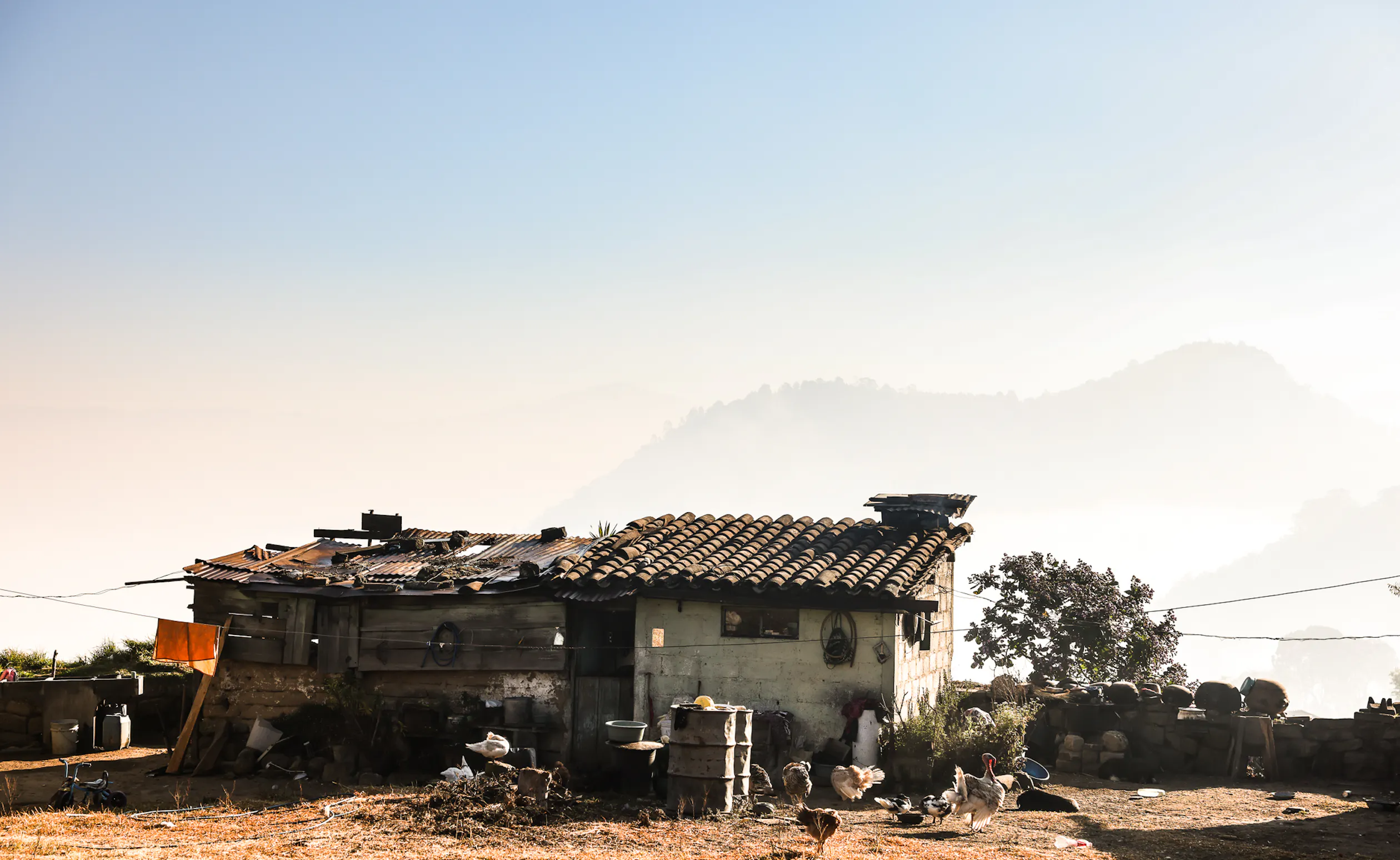 Tile-roofed hillside house with turkeys in the yard above a misty valley
