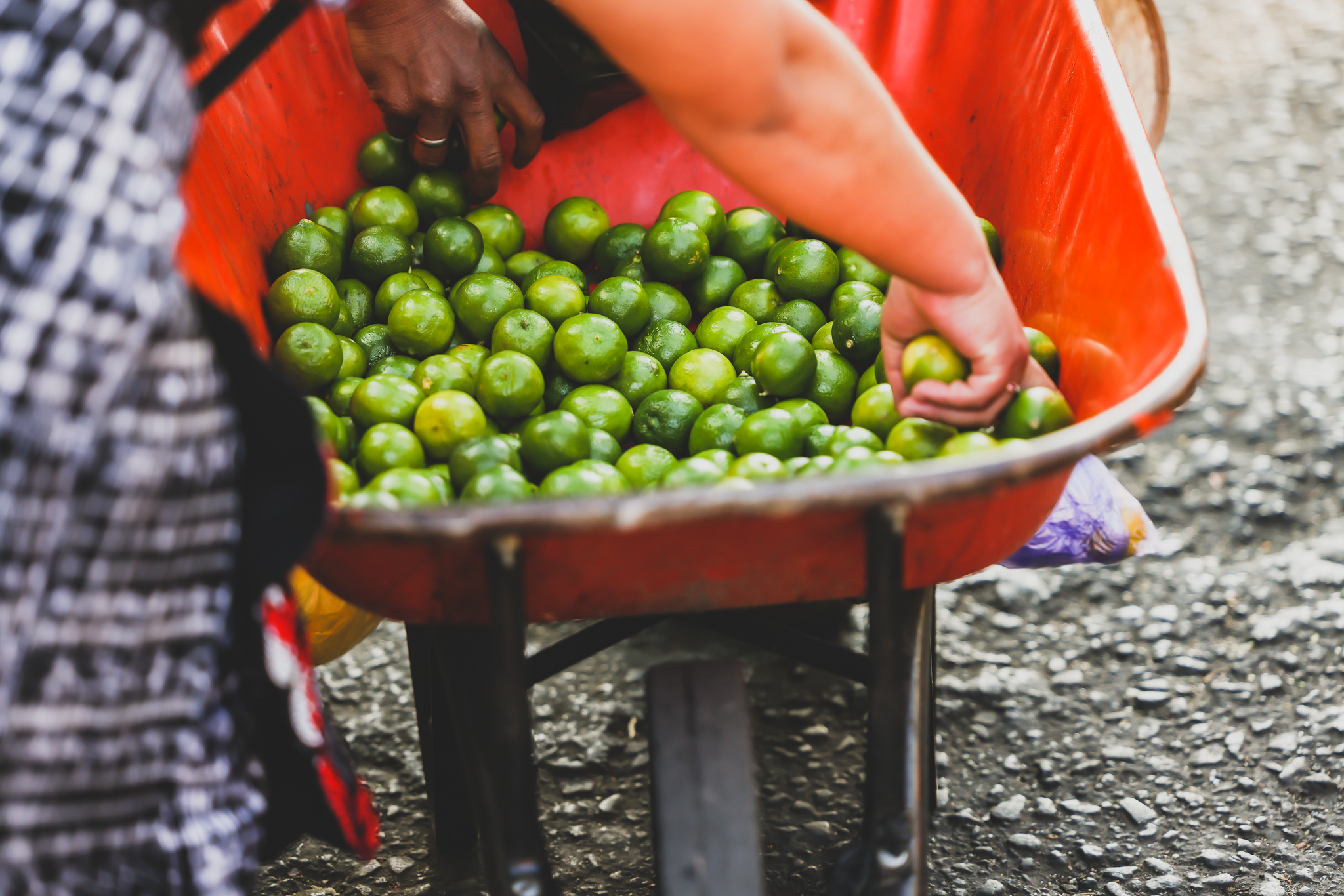 Hands sorting green limes in an orange wheelbarrow at a roadside market