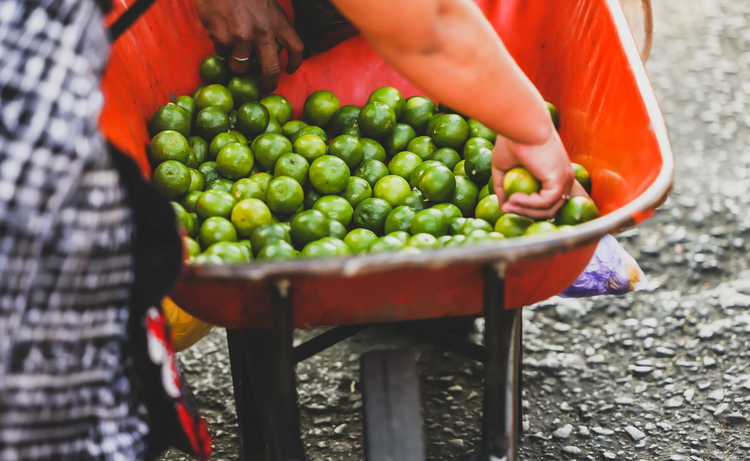 Hands sorting green limes in an orange wheelbarrow at a roadside market