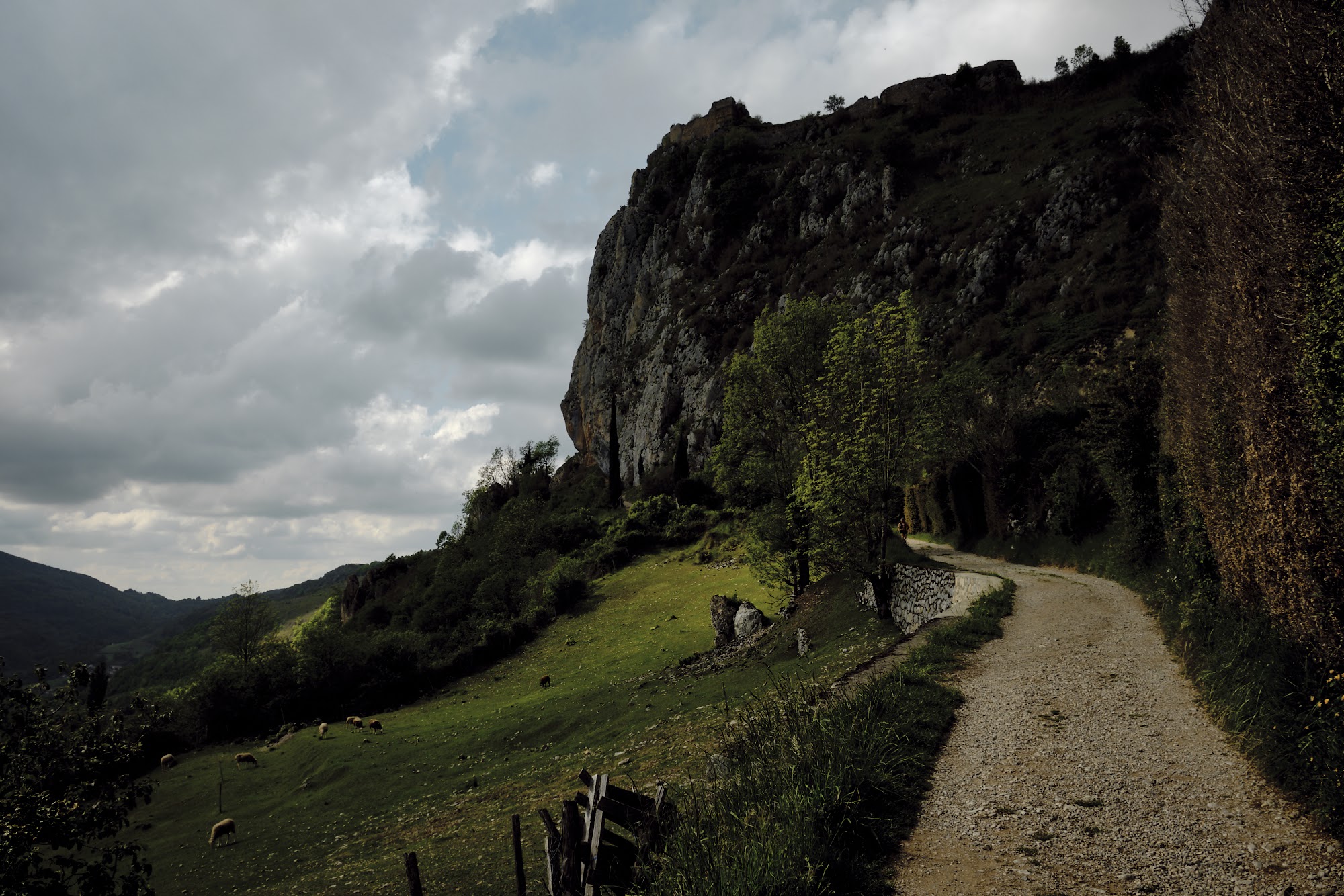 A gravel road curves beneath a limestone crag, sheep grazing on the green slope below