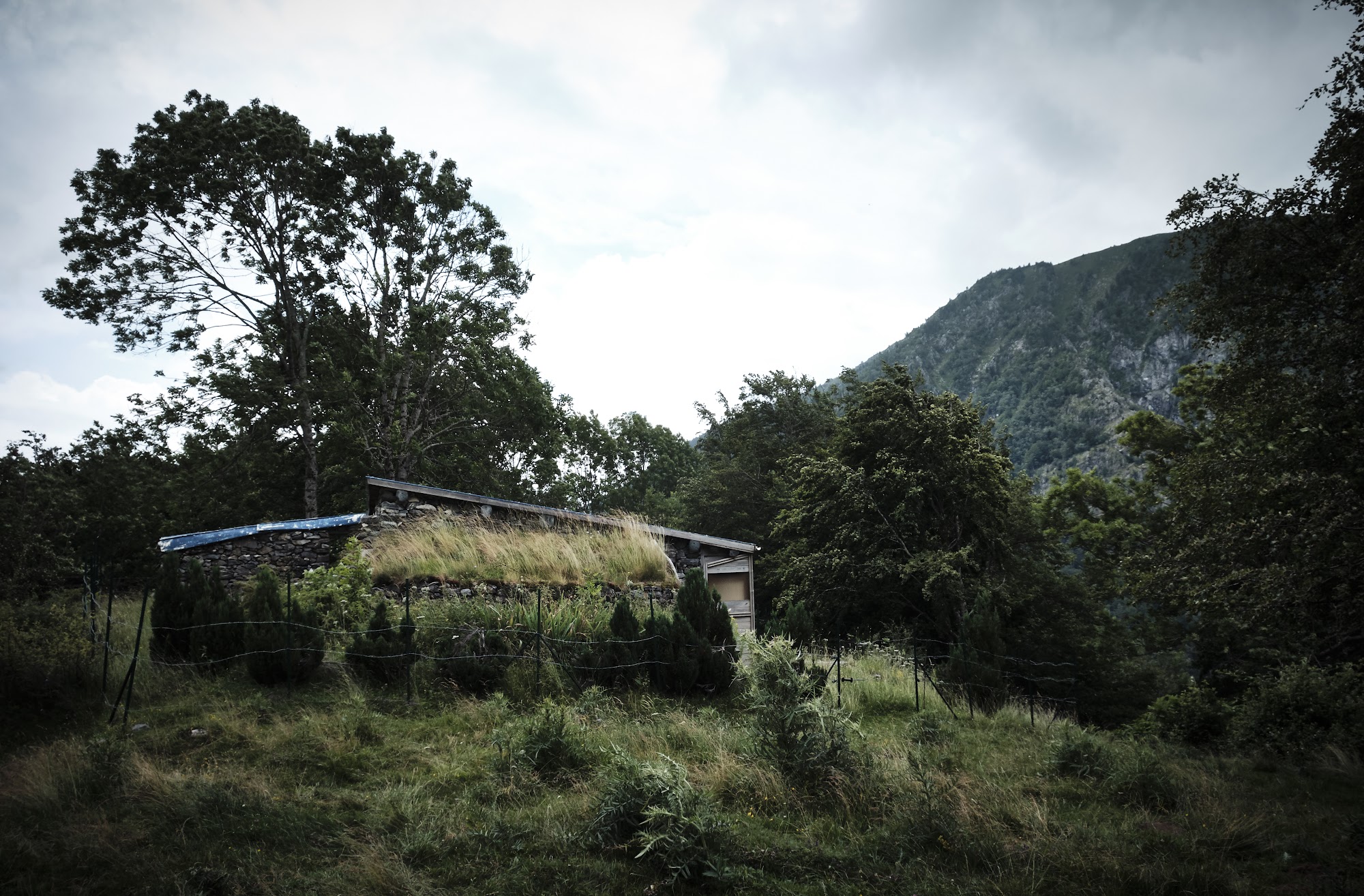 A stone hut with a grass-covered roof stands among trees below a forested mountain