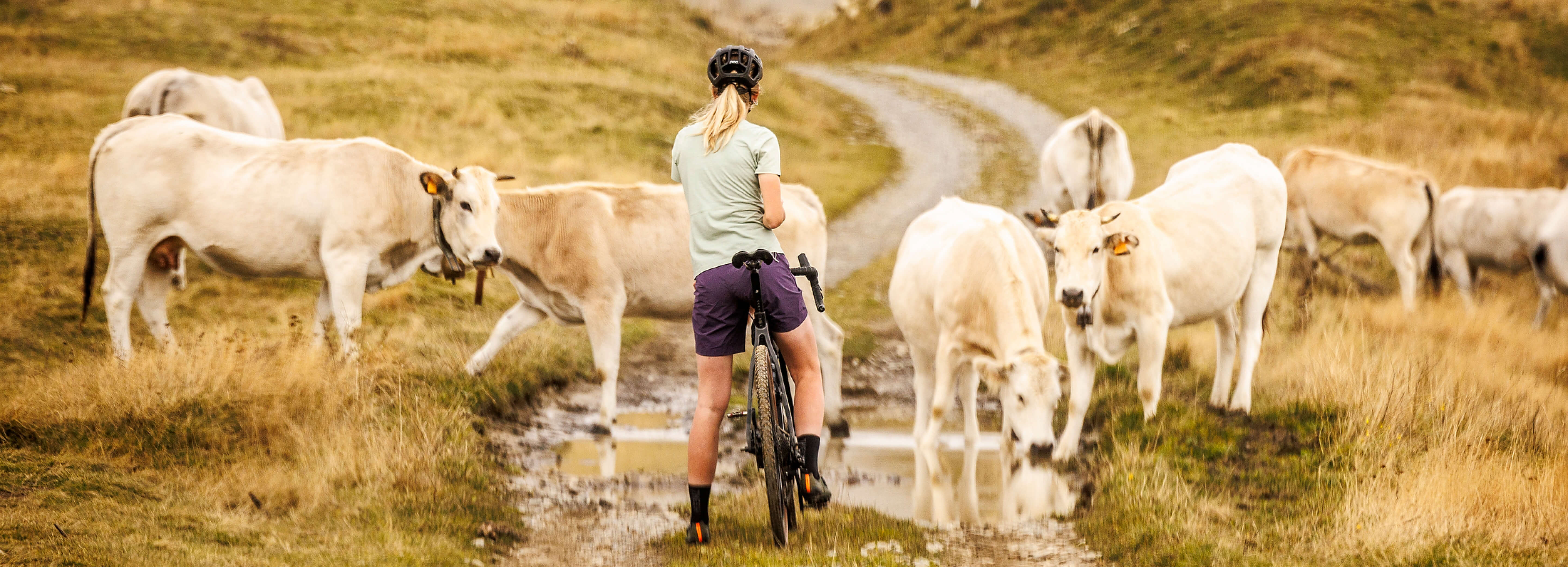 Advanced Bike Apparel for Every Elevation | 7mesh