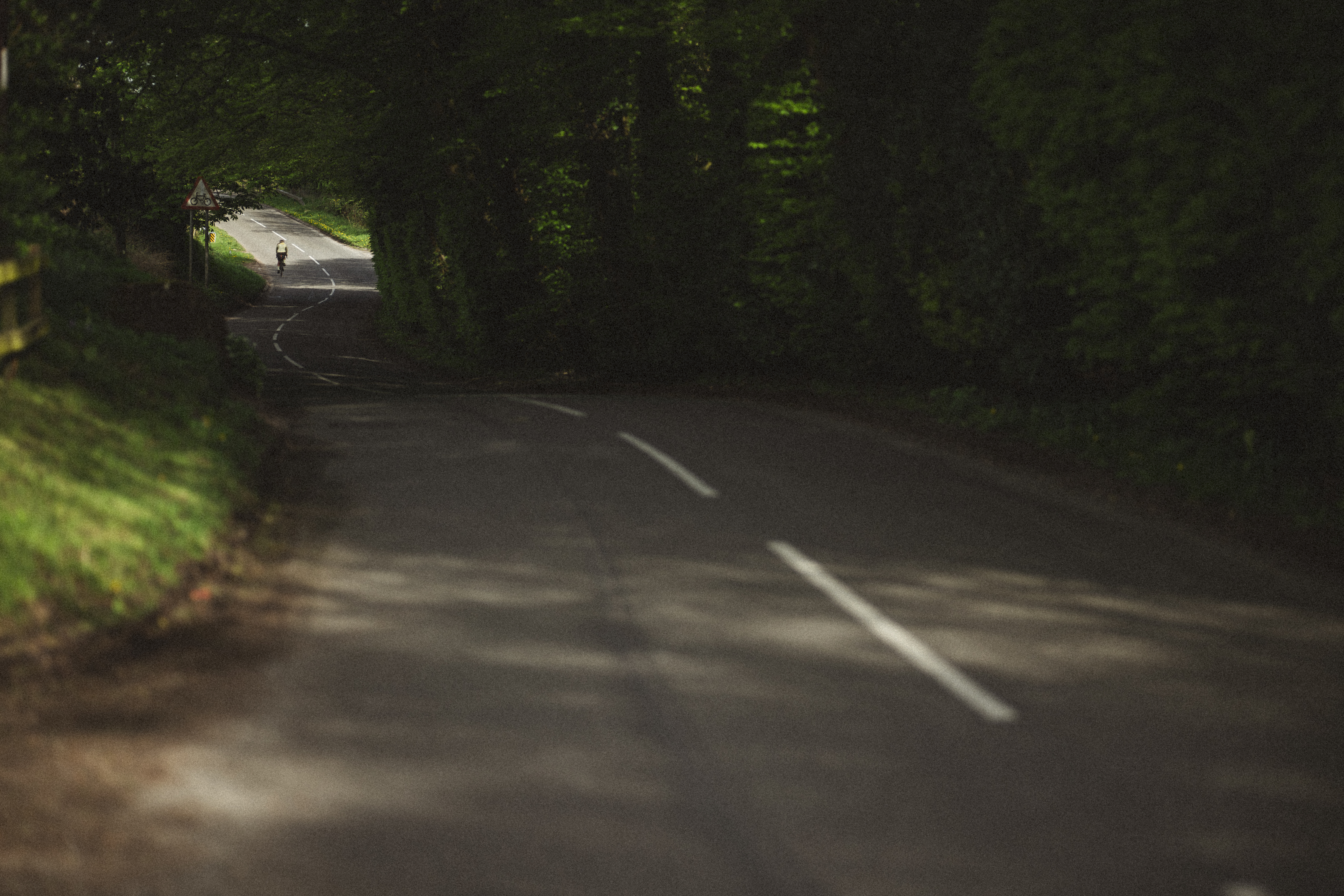 Empty country lane running under a dark canopy of trees