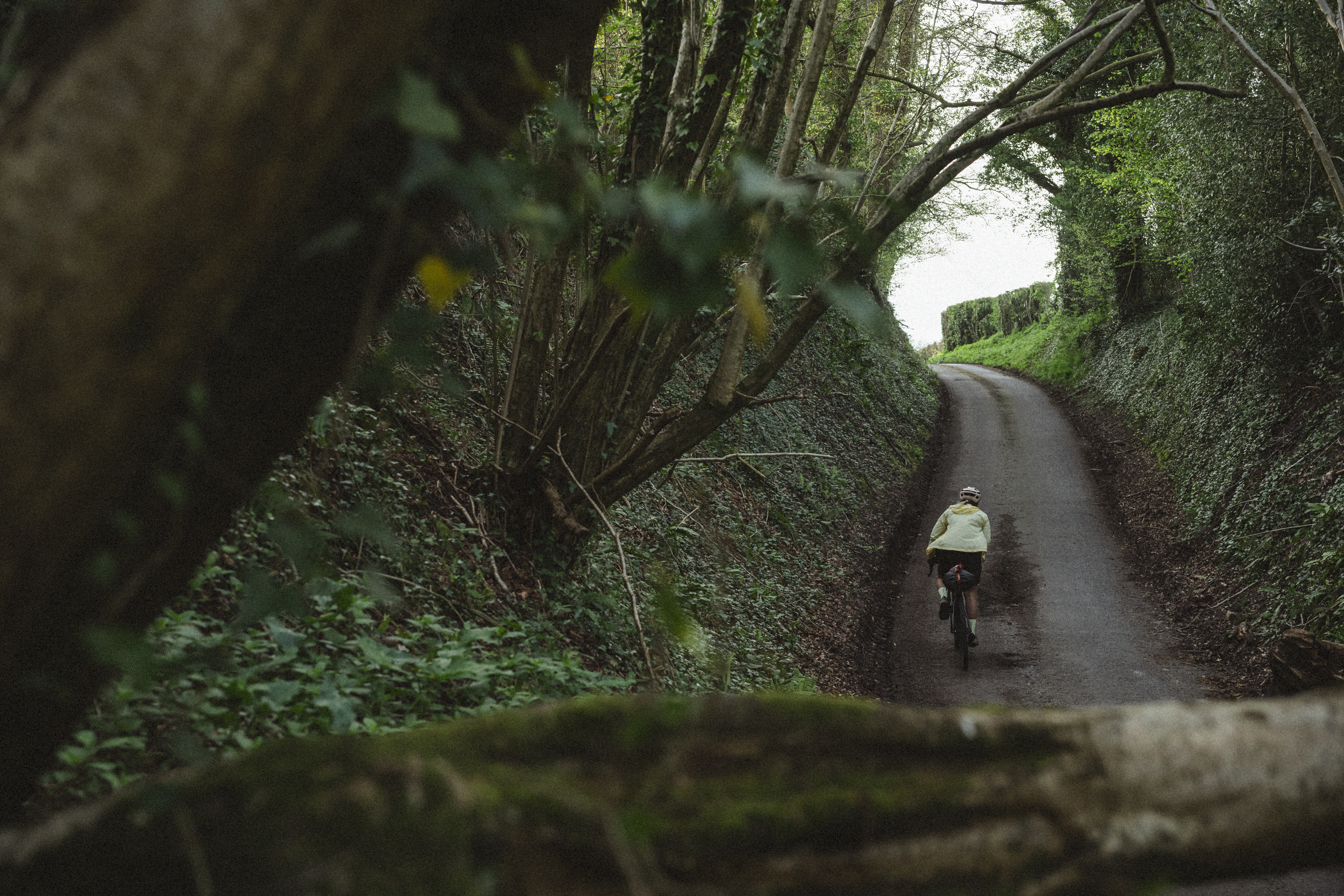 Rider climbing a sunken lane between steep hedged banks