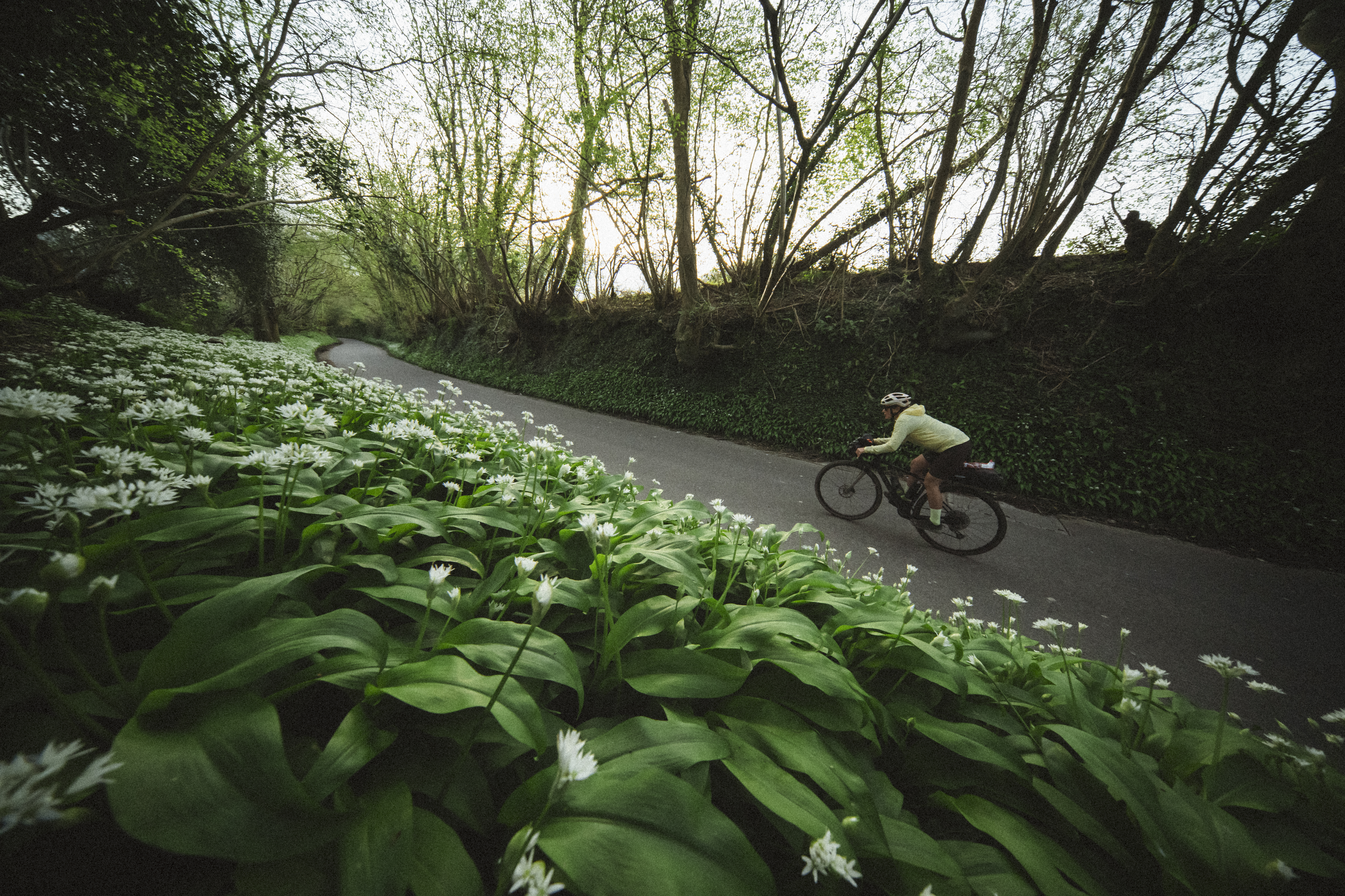 Rider on a narrow lane banked with flowering wild garlic
