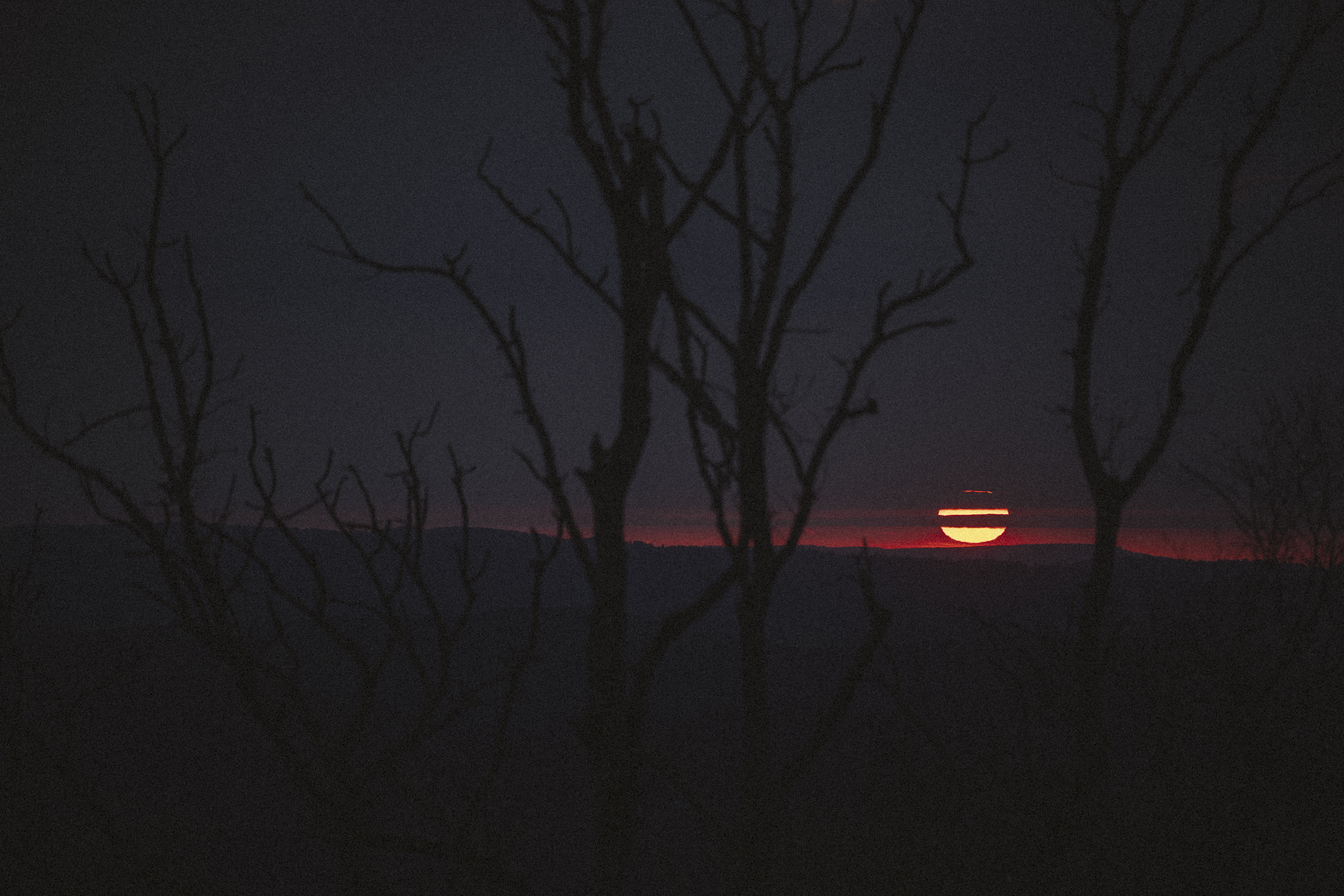 Setting sun sitting on the horizon behind bare branches
