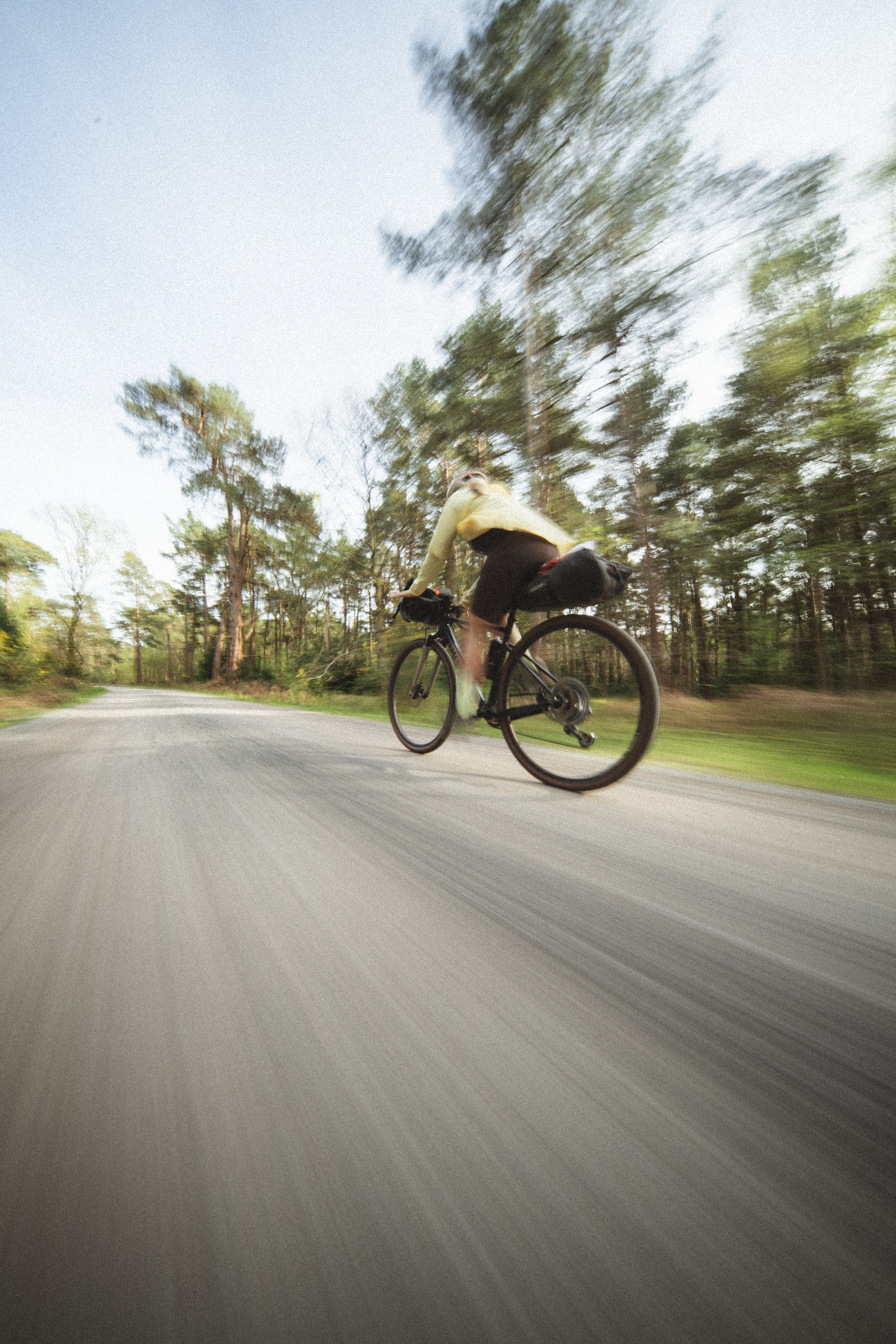 Blurred pan of a rider passing on a forest road in evening light