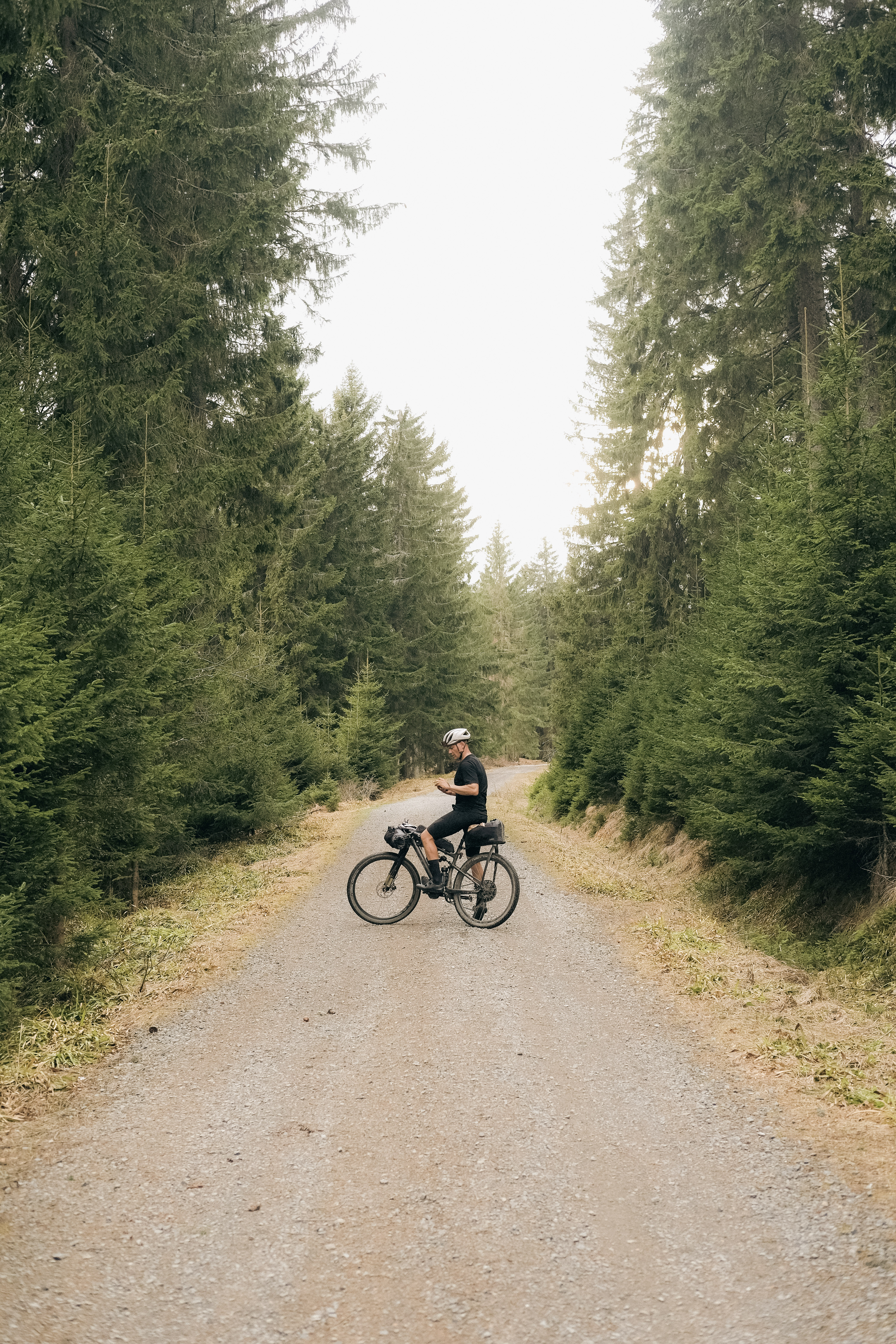 Rider stopped astride a loaded bike on a gravel road between young spruce, checking a phone