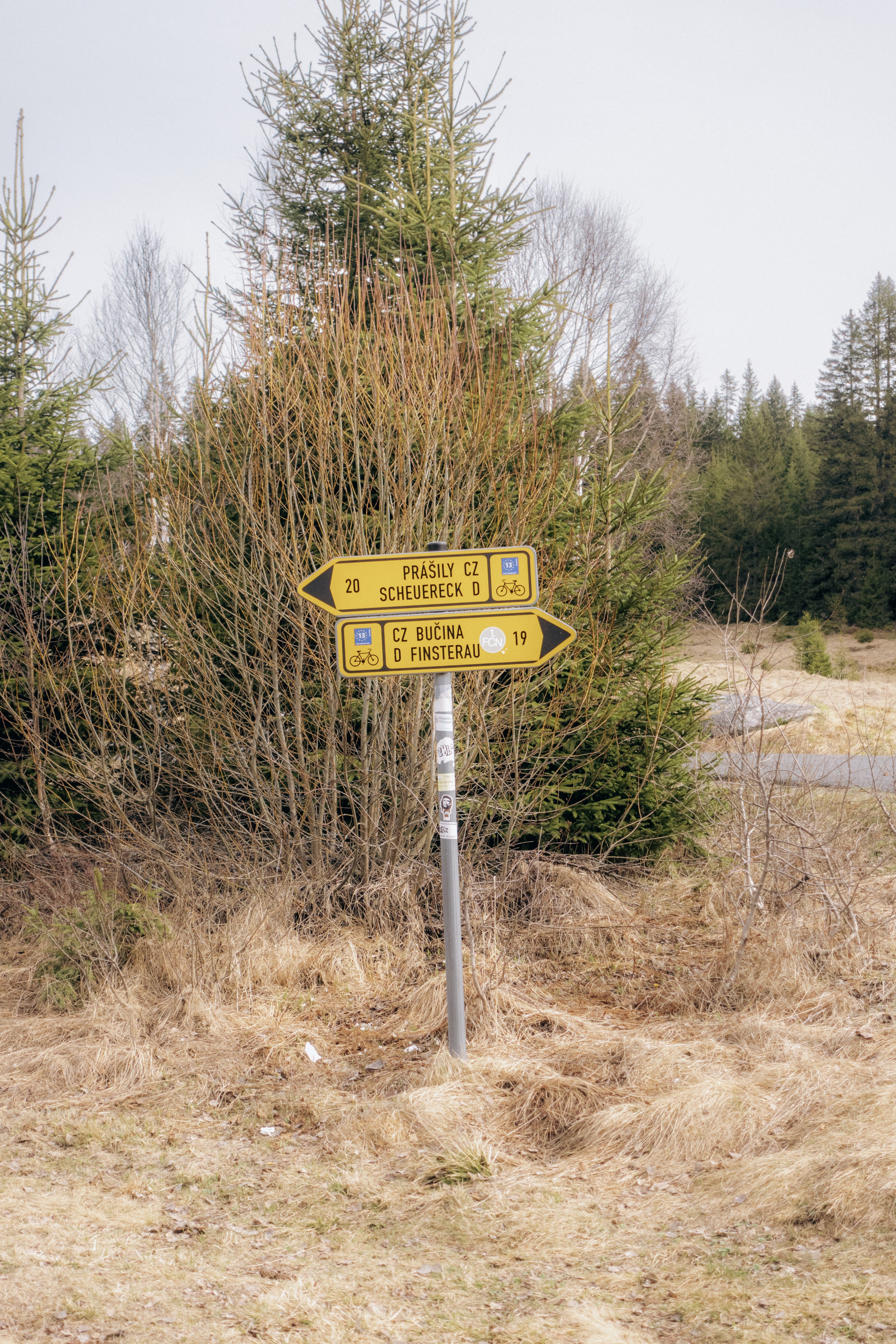 Yellow cycle signpost marked Prášily and Scheuereck one way, Bučina and Finsterau the other