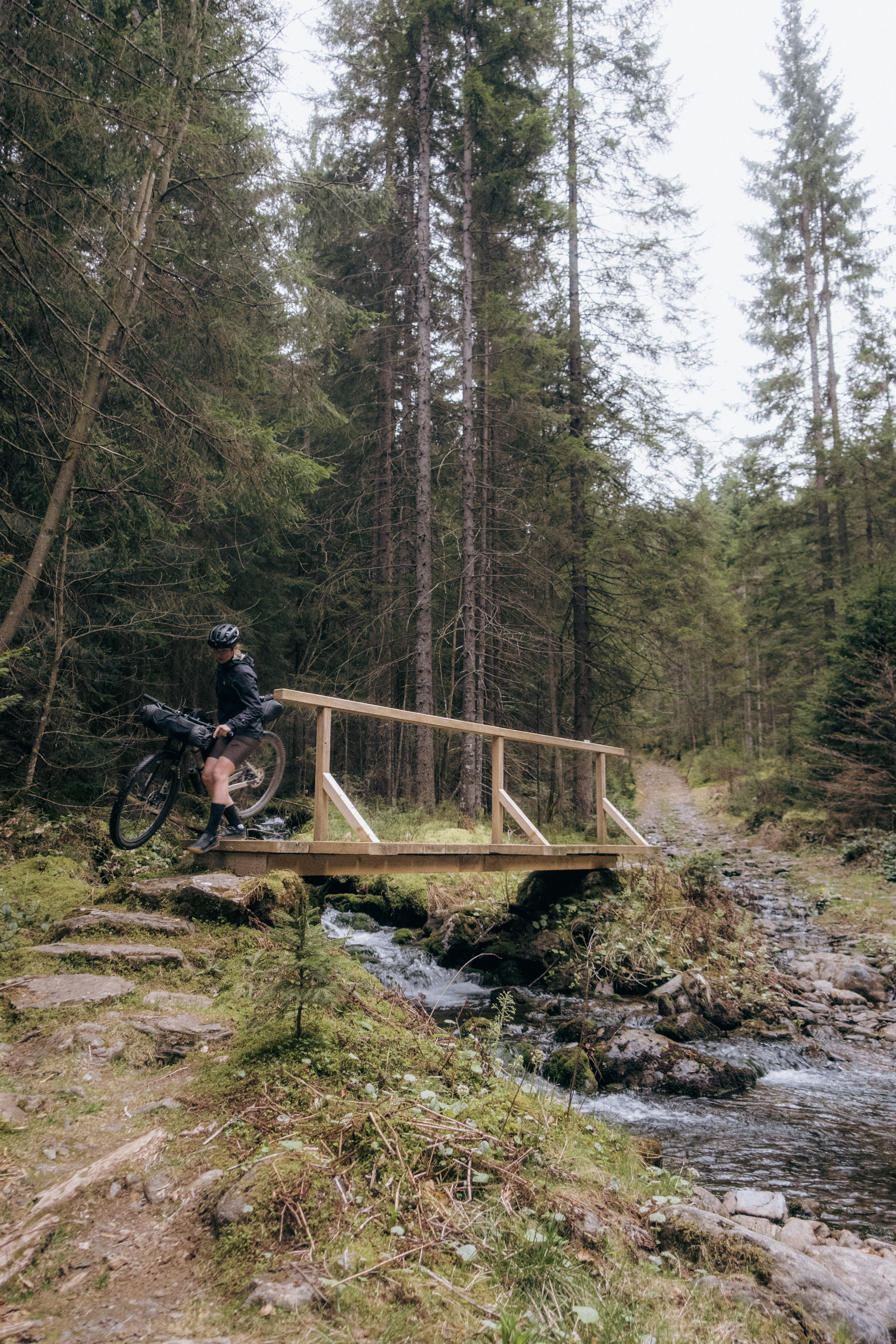 Rider pushing a loaded bike across a new timber footbridge over a stream in spruce forest
