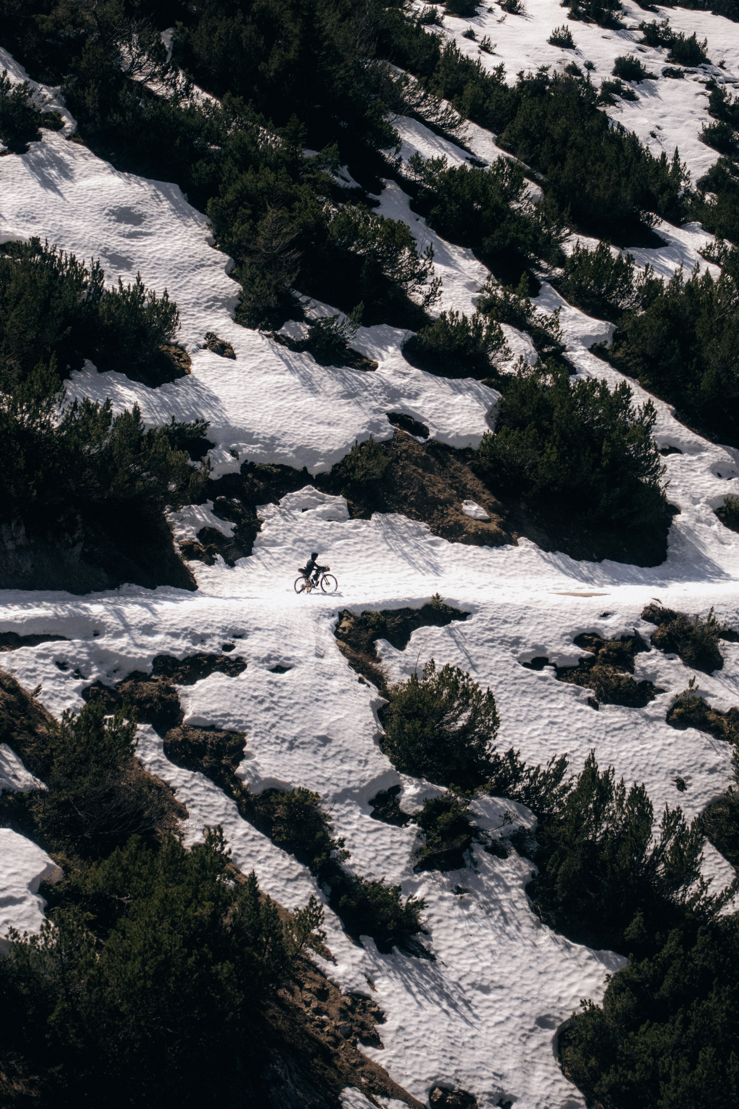 Rider crossing a wide snow patch on a mountainside dotted with pine scrub