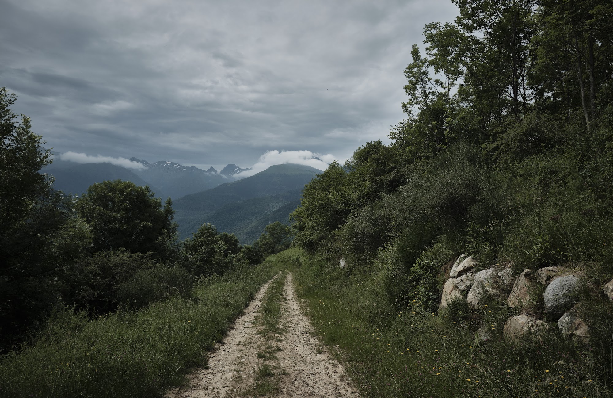 Grassy doubletrack running toward cloud-covered peaks, with a line of boulders alongside