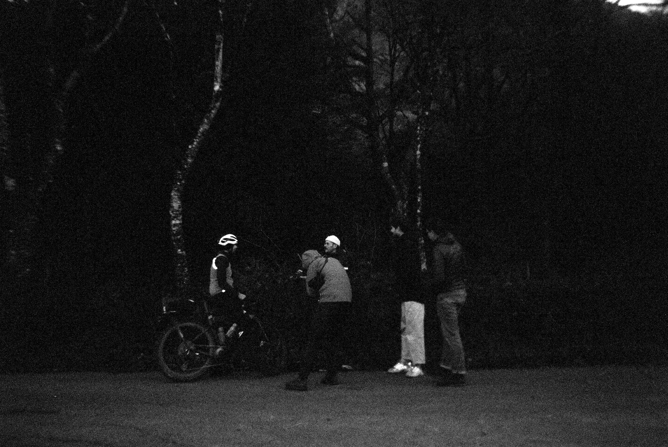 Three figures with a bike under bare trees at night, heavy film grain