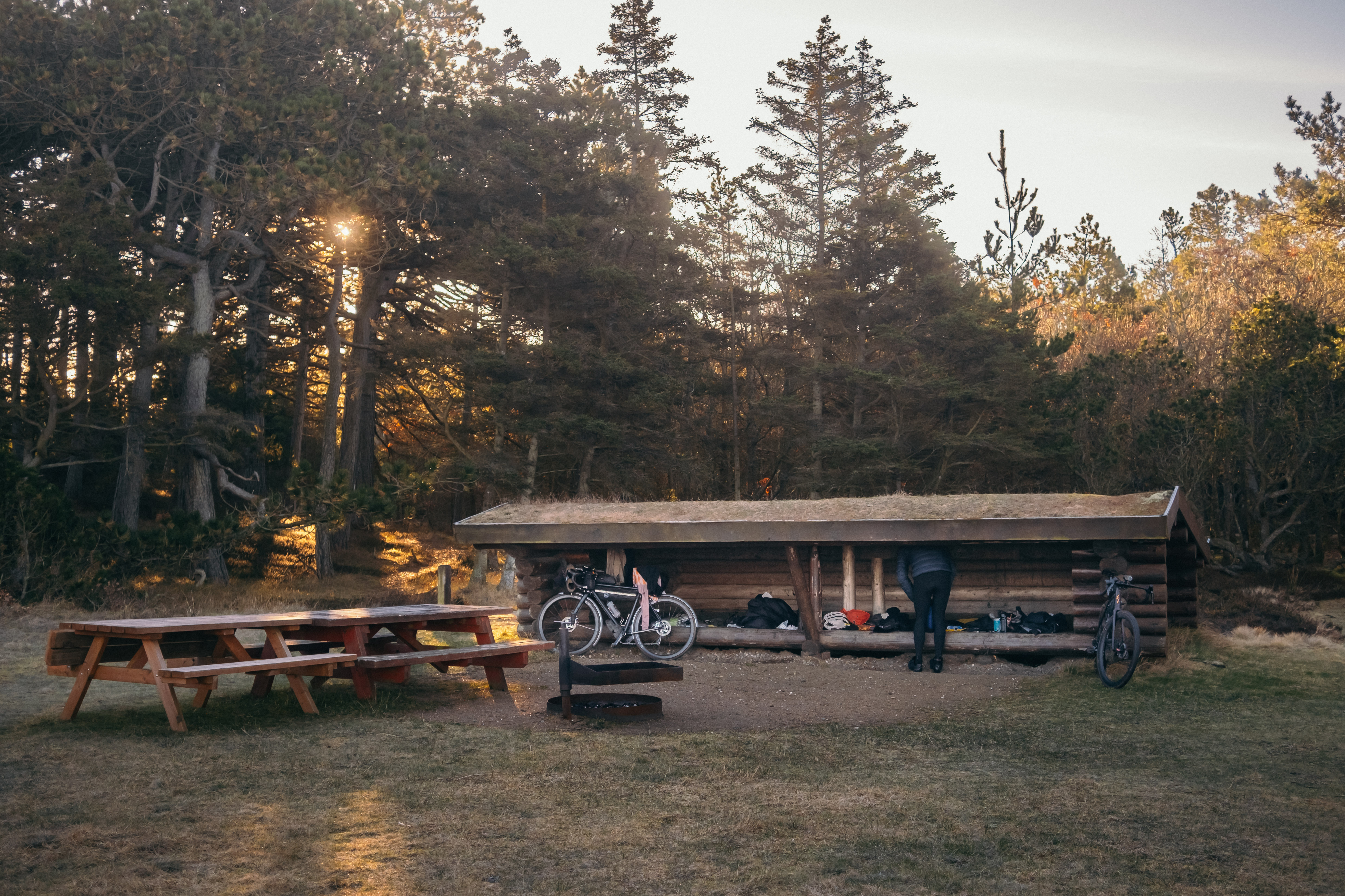 Bikes parked at a timber shelter and picnic tables in autumn woods