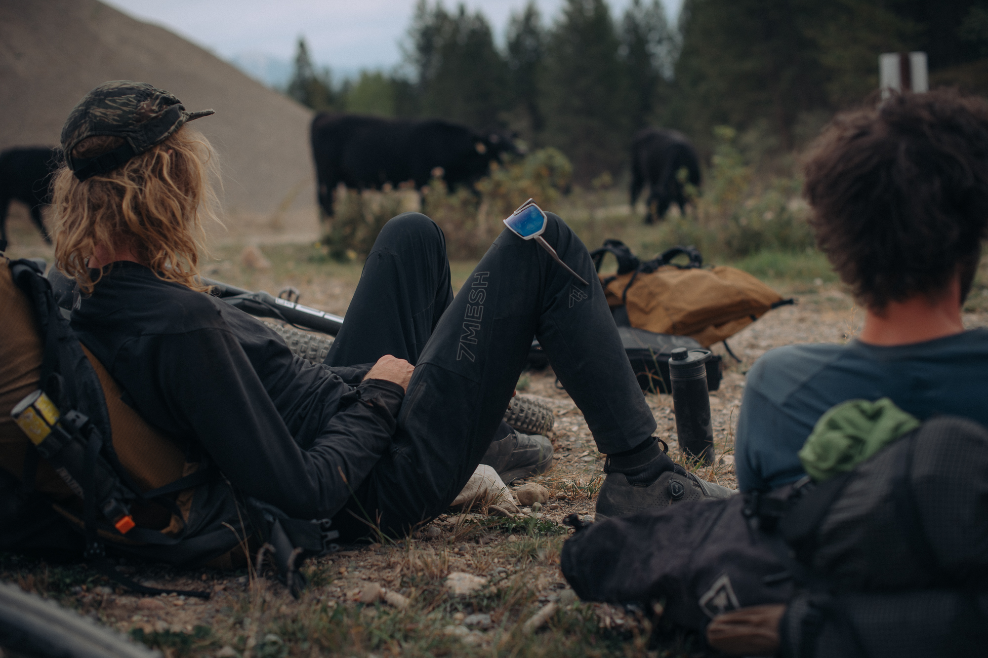 Riders resting on the ground beside loaded bikes near grazing cattle