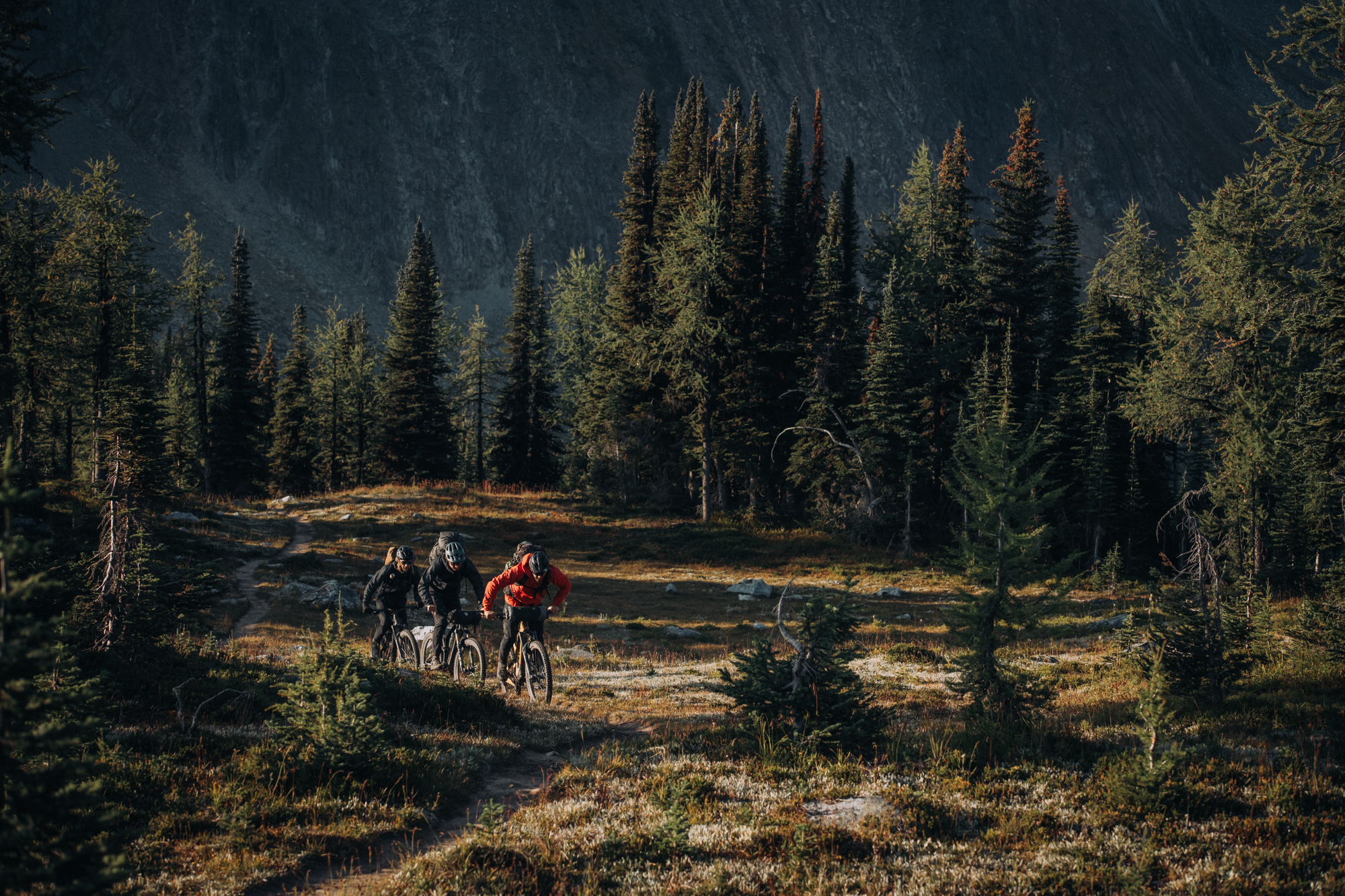 Three riders on a singletrack through open subalpine forest