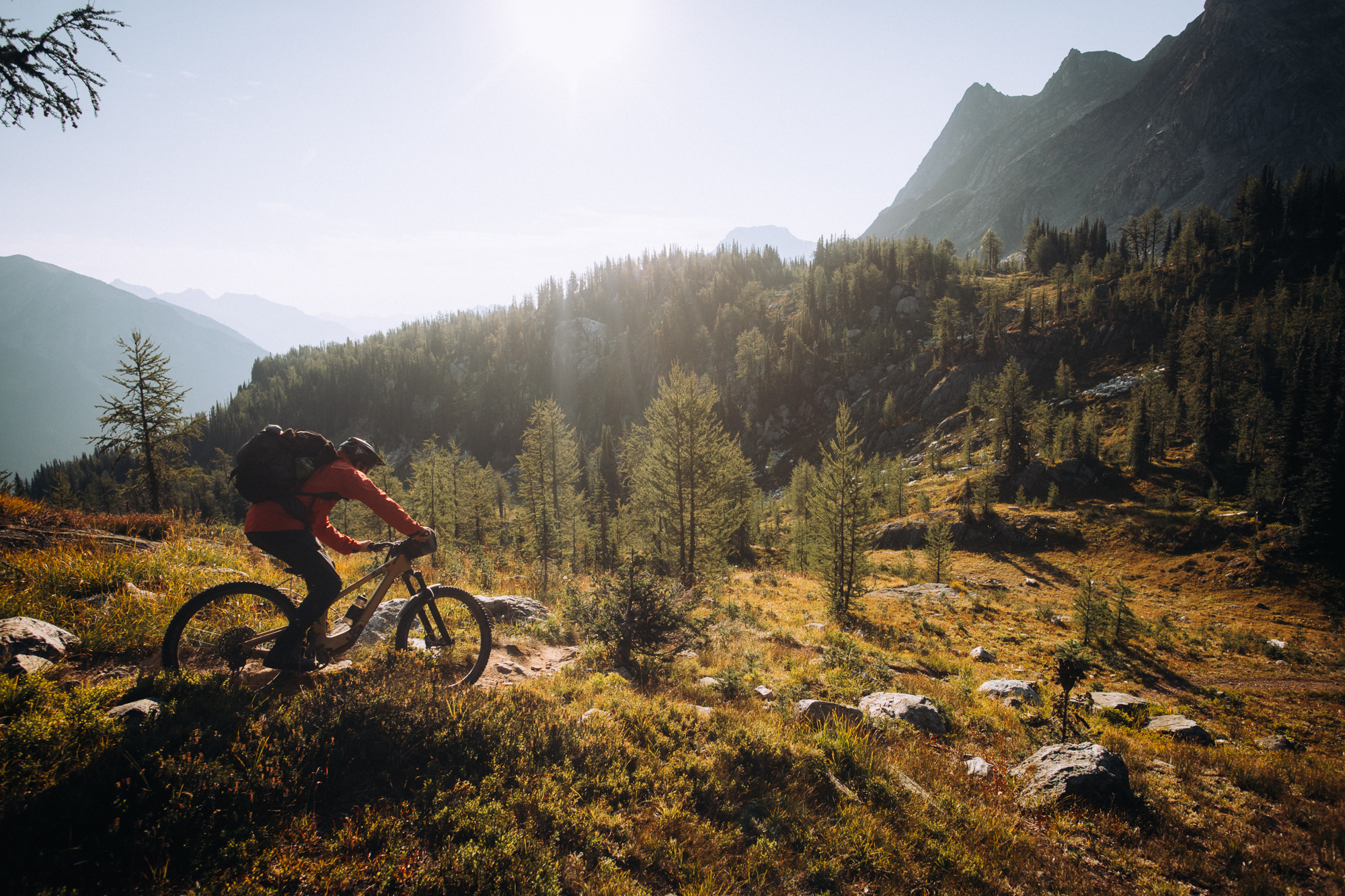 Rider climbing a rocky trail through larches in bright sun