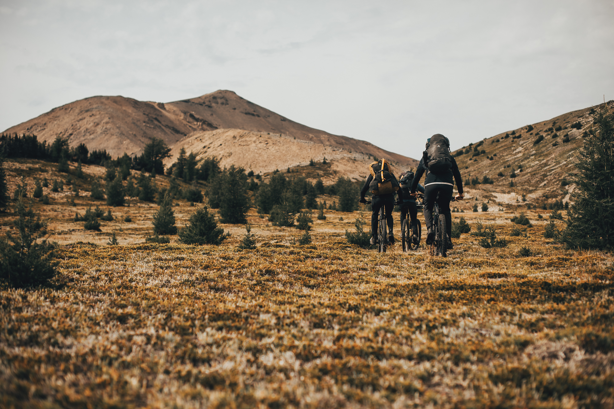 Two riders pushing loaded bikes across open golden alpine meadow