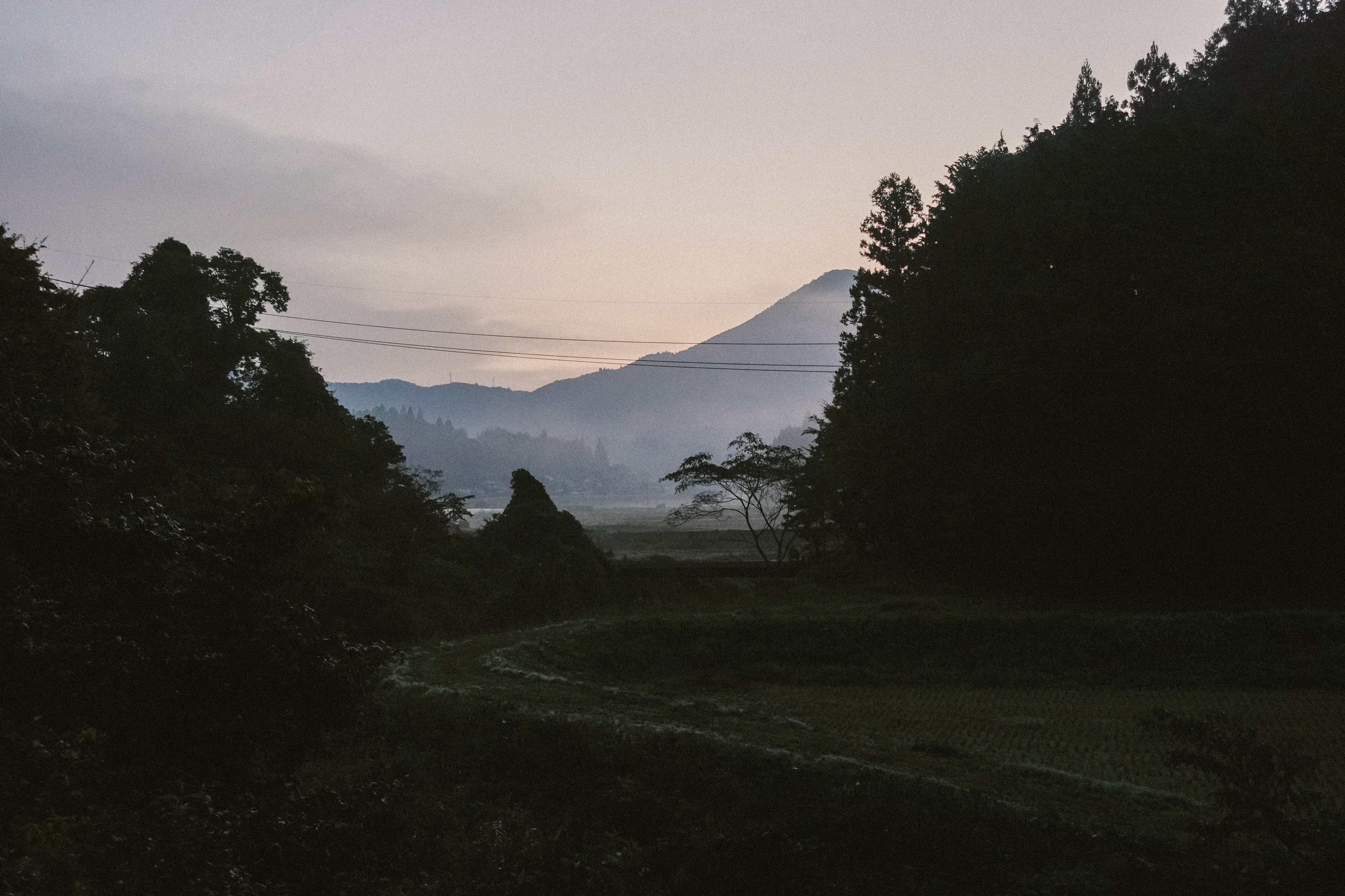 Dusk over rice fields and a conical mountain behind silhouetted trees