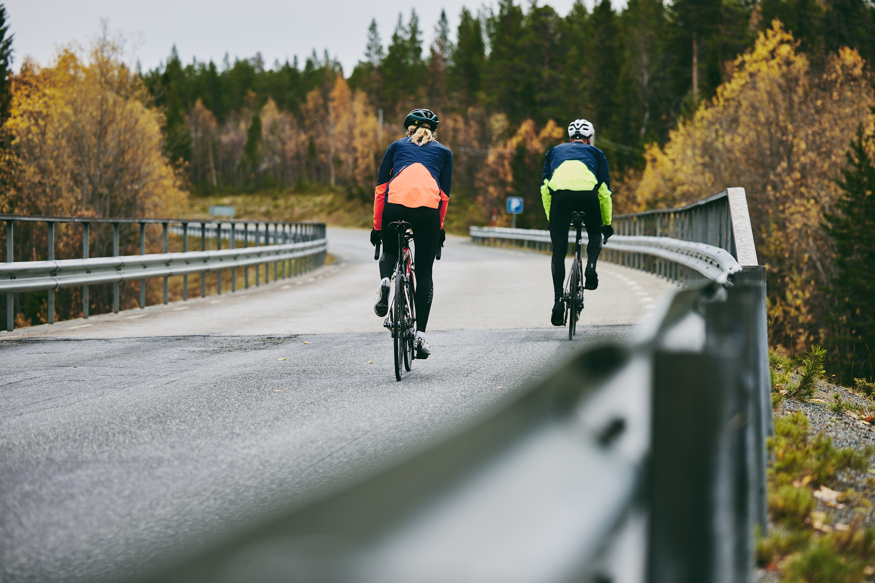Two road cyclists from behind on a guardrailed road through autumn birch
