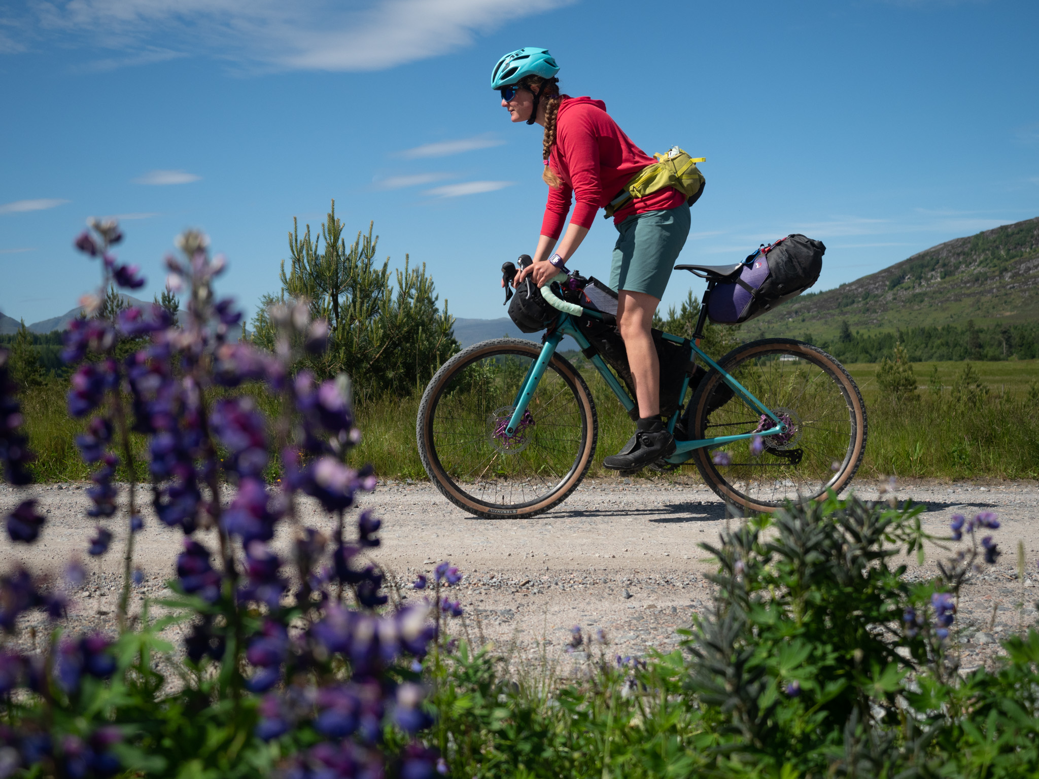 Rider on a loaded teal gravel bike passing purple lupins on a gravel road