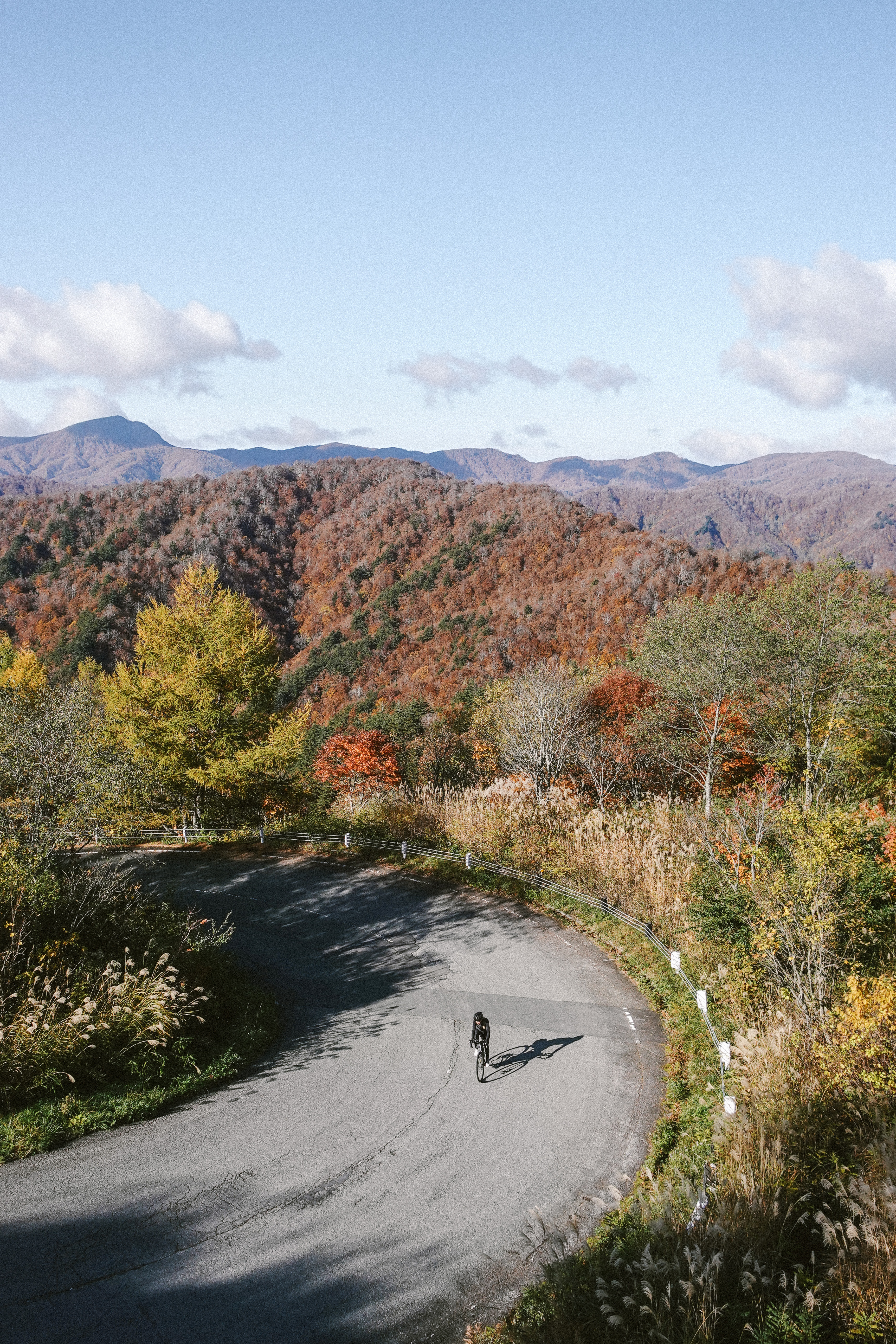 Rider on a hairpin bend surrounded by autumn foliage