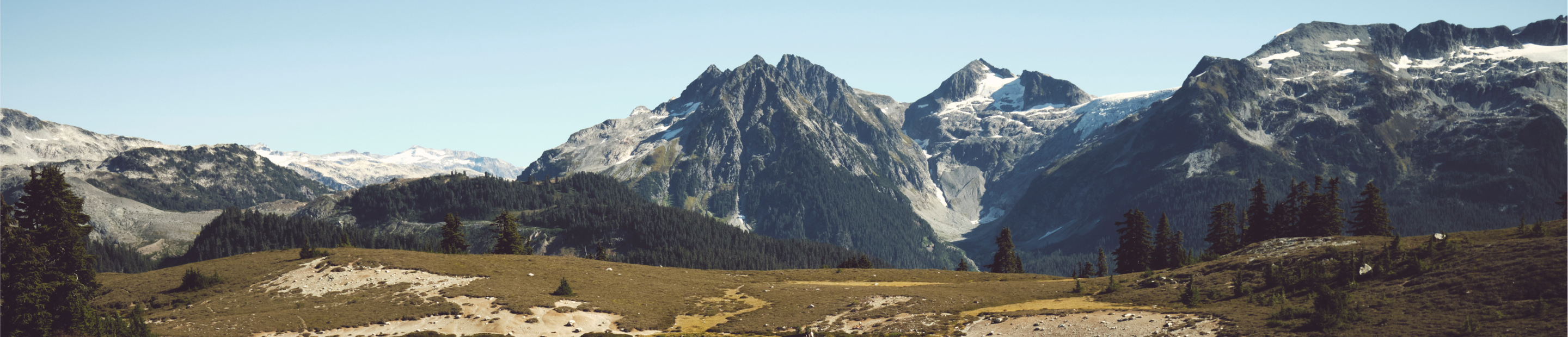 Panorama of snow-streaked mountain peaks above an open alpine meadow