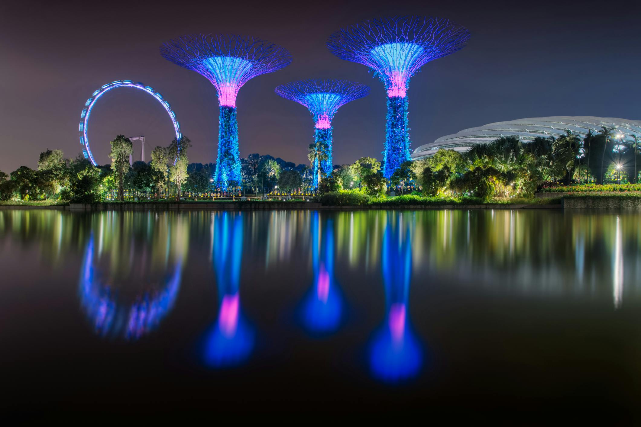 Singapore Flyer, Gardens by the Bay, and Esplanade Theatres Night View