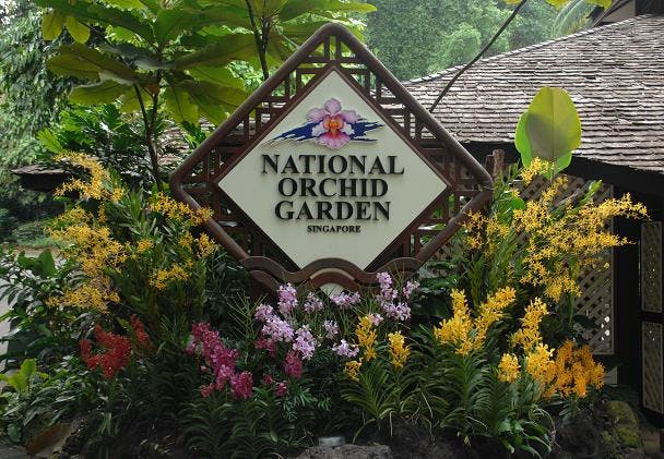 Singapore Botanic Gardens is also easily accessible from Victoria Park Villa
