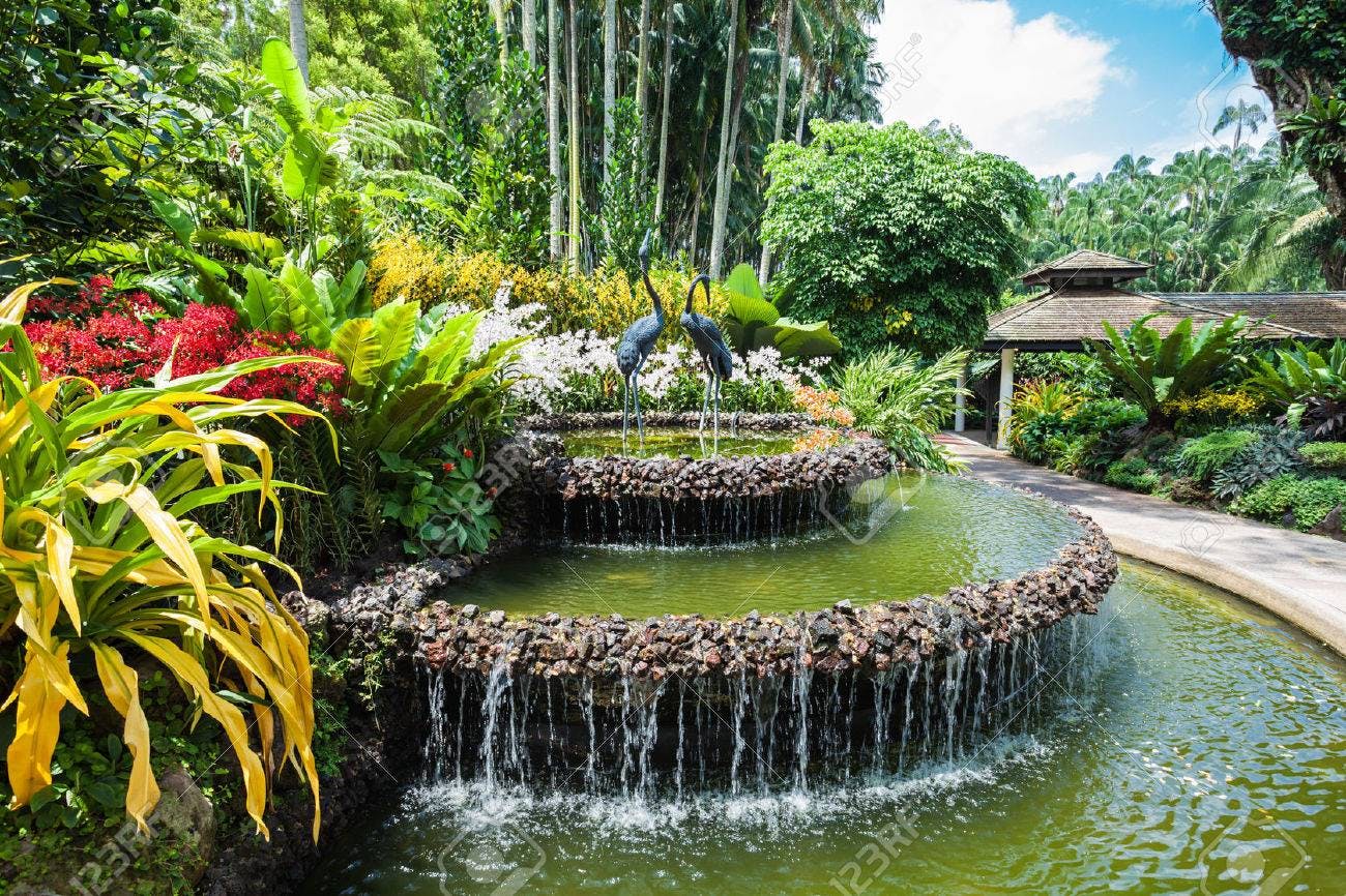 National Orchid Garden