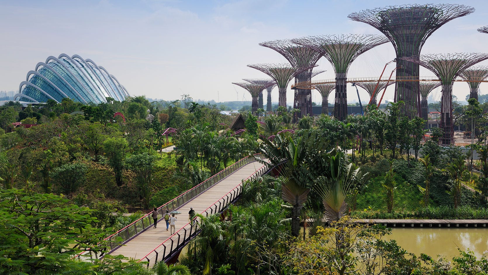 A view of Gardens by the Bay 