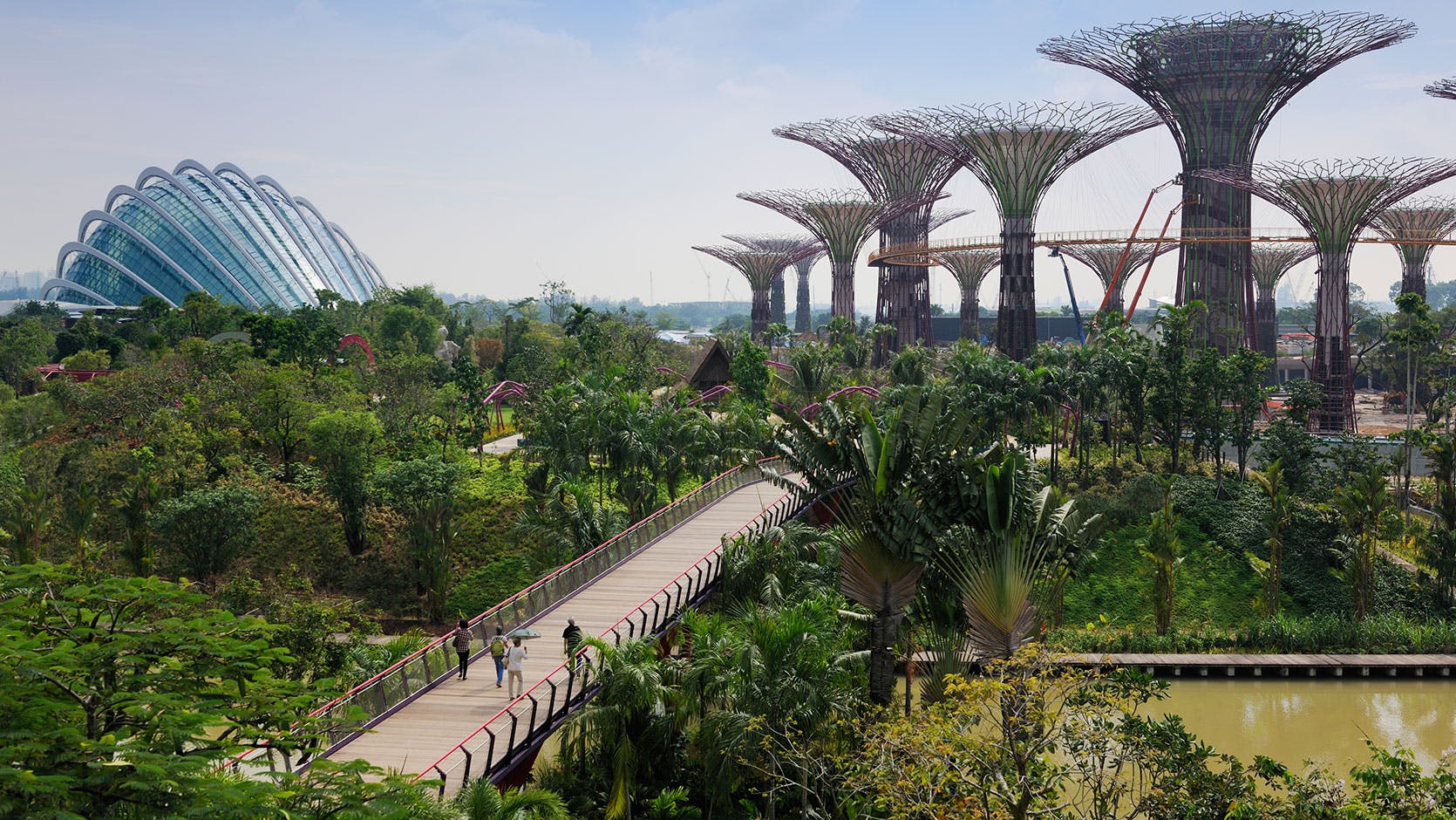 A view of Gardens by the Bay