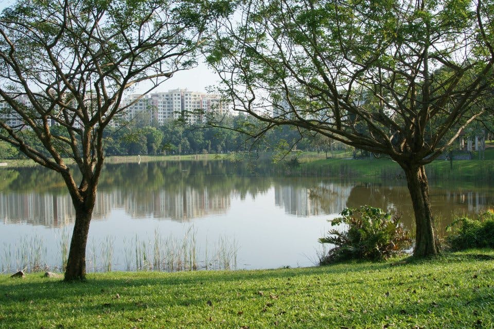 Punggol Park