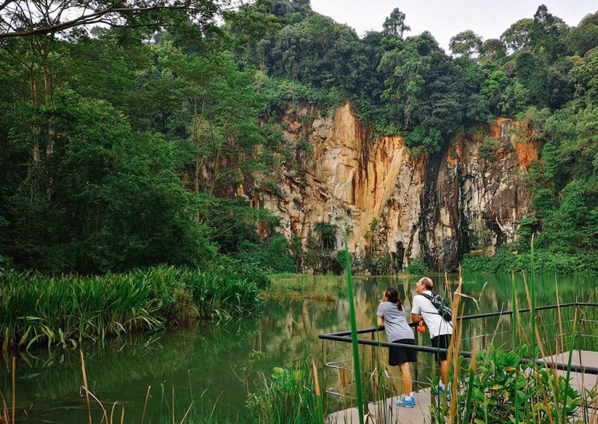 Bukit Timah Nature Reserve