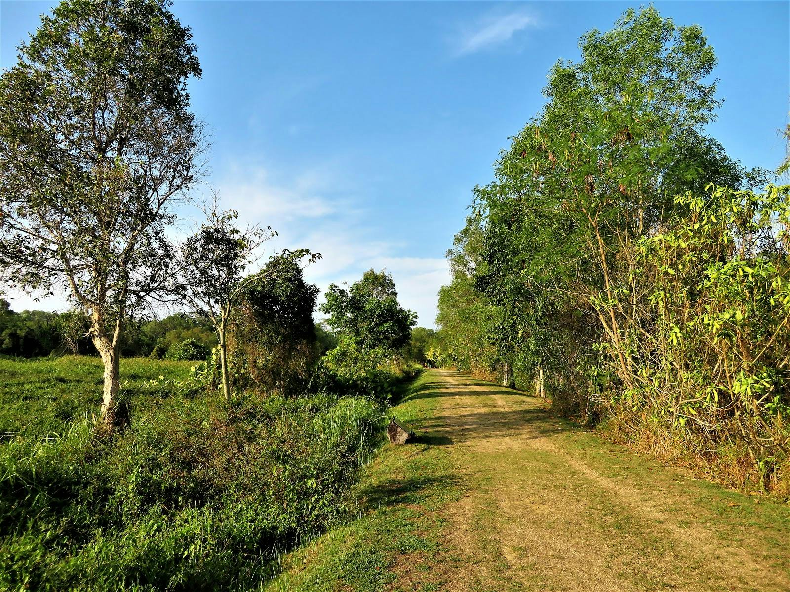 Immerse yourseld into the lush greenery offered by Tampines Eco Green